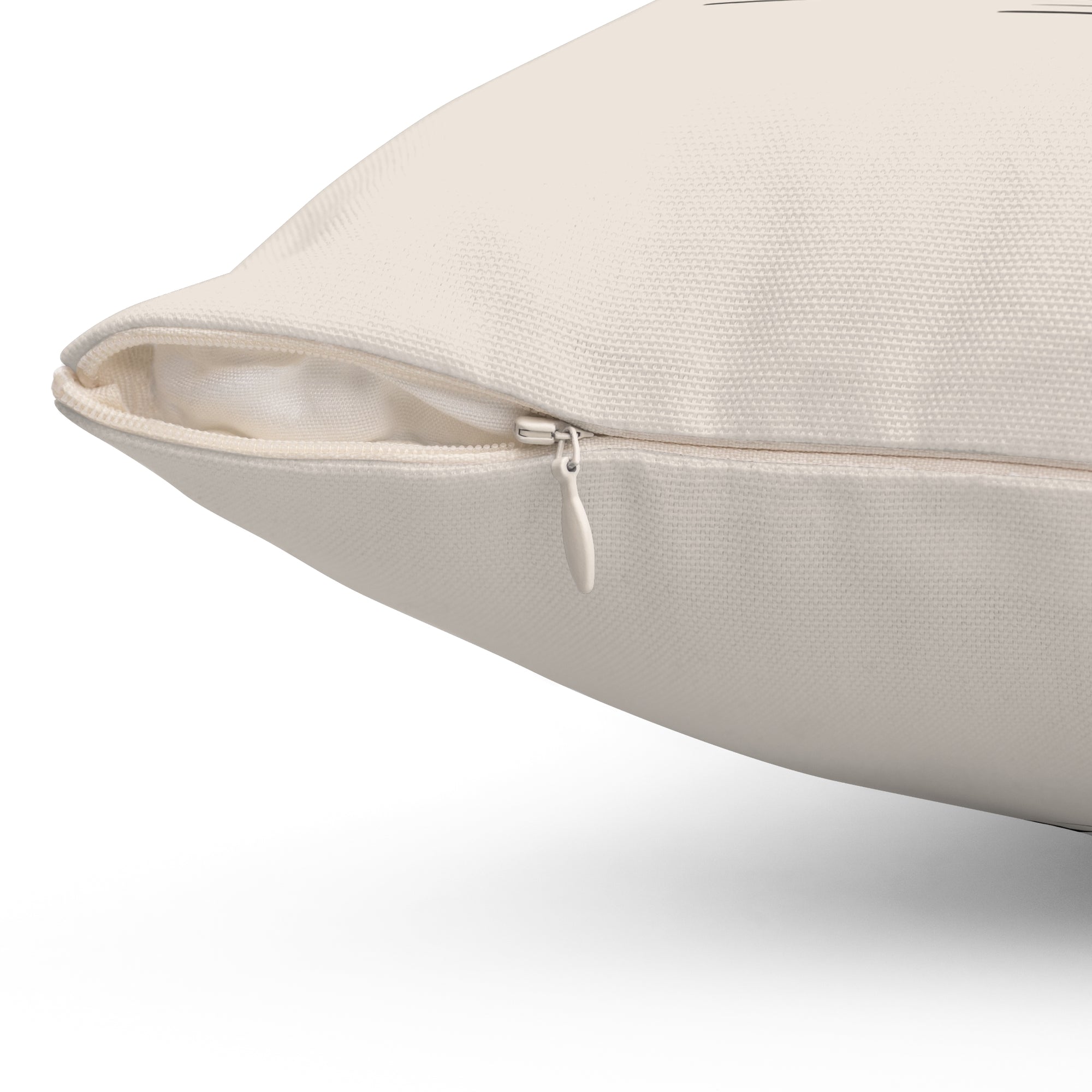 Cat Lover's Decorative Pillow, Home Decor for Cat Owners