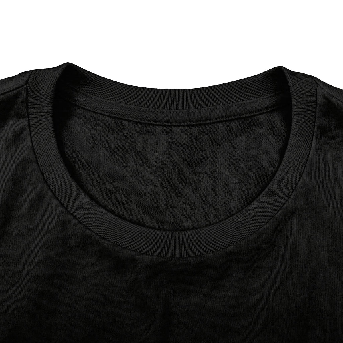 I Outlasted the Press Secretary | Barely Tried Political Humor Long Sleeve Shirt