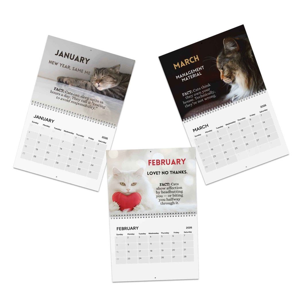 Twelve Months of Cat Chaos 2026 Calendar