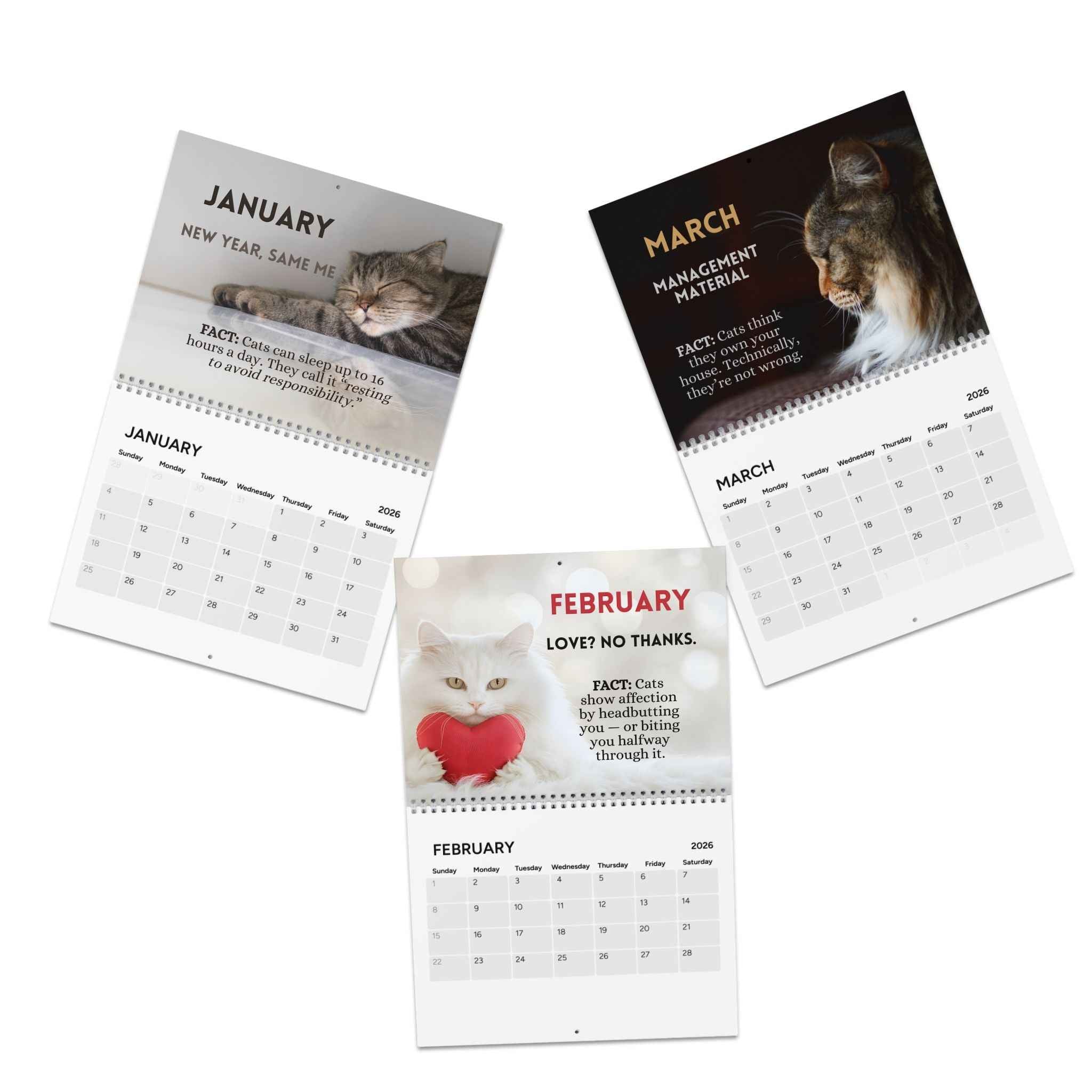 Twelve Months of Cat Chaos 2026 Calendar