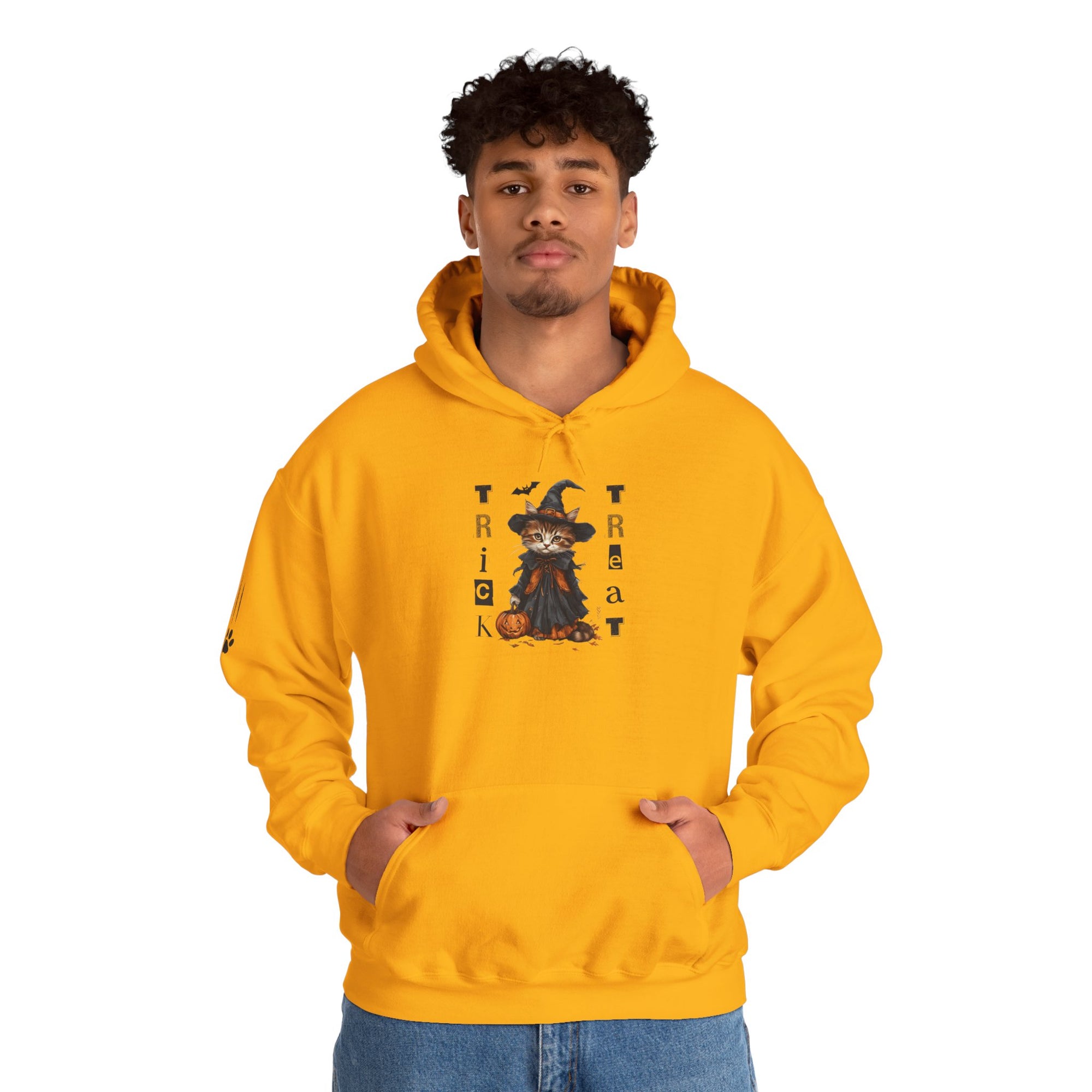 Cozy Halloween Witchy Cat Hoodie