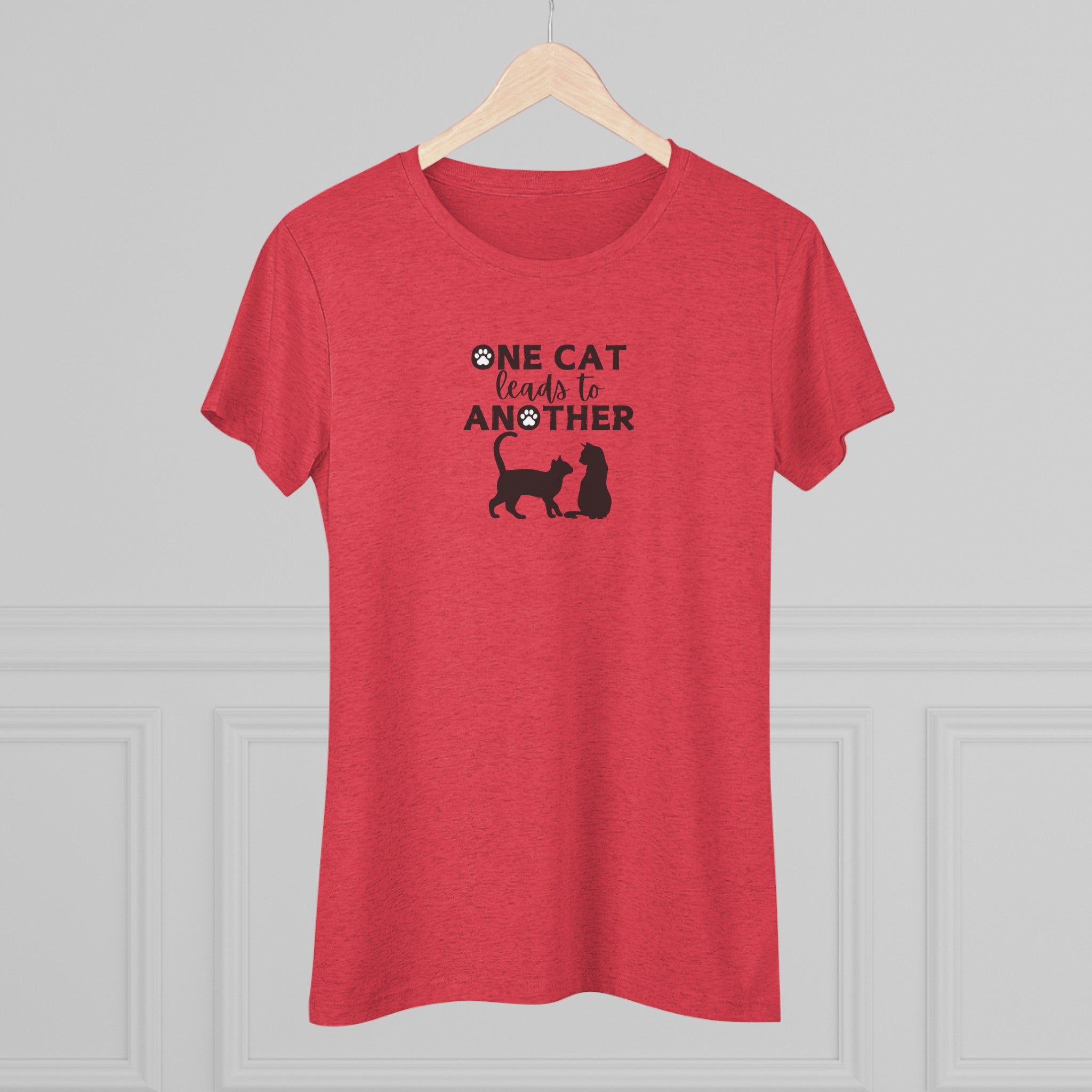 One Cat Women's Triblend Tee - T - Shirt - Epileptic Al’s Shop