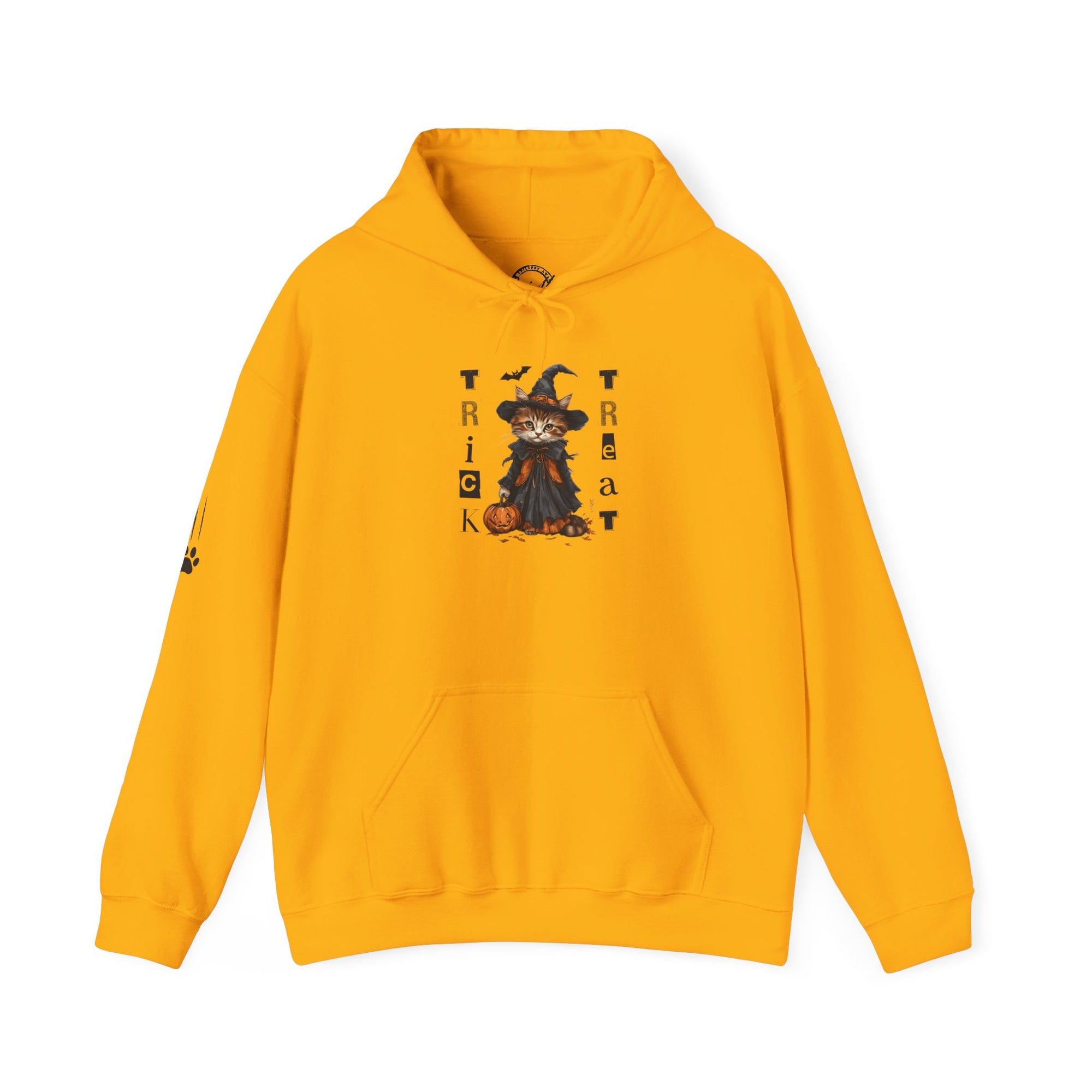 Cozy Halloween Witchy Cat Hoodie