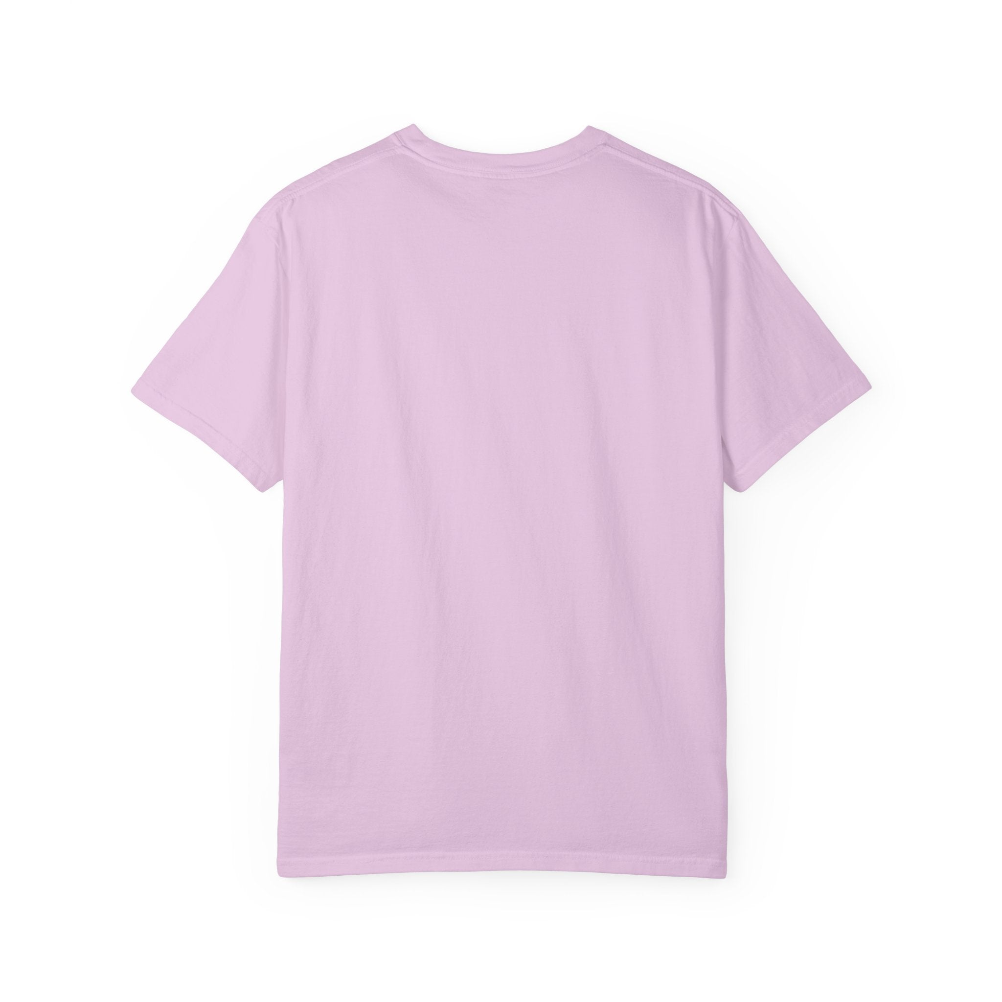 Certified Small-Town Observer Garment-Dyed T-Shirt