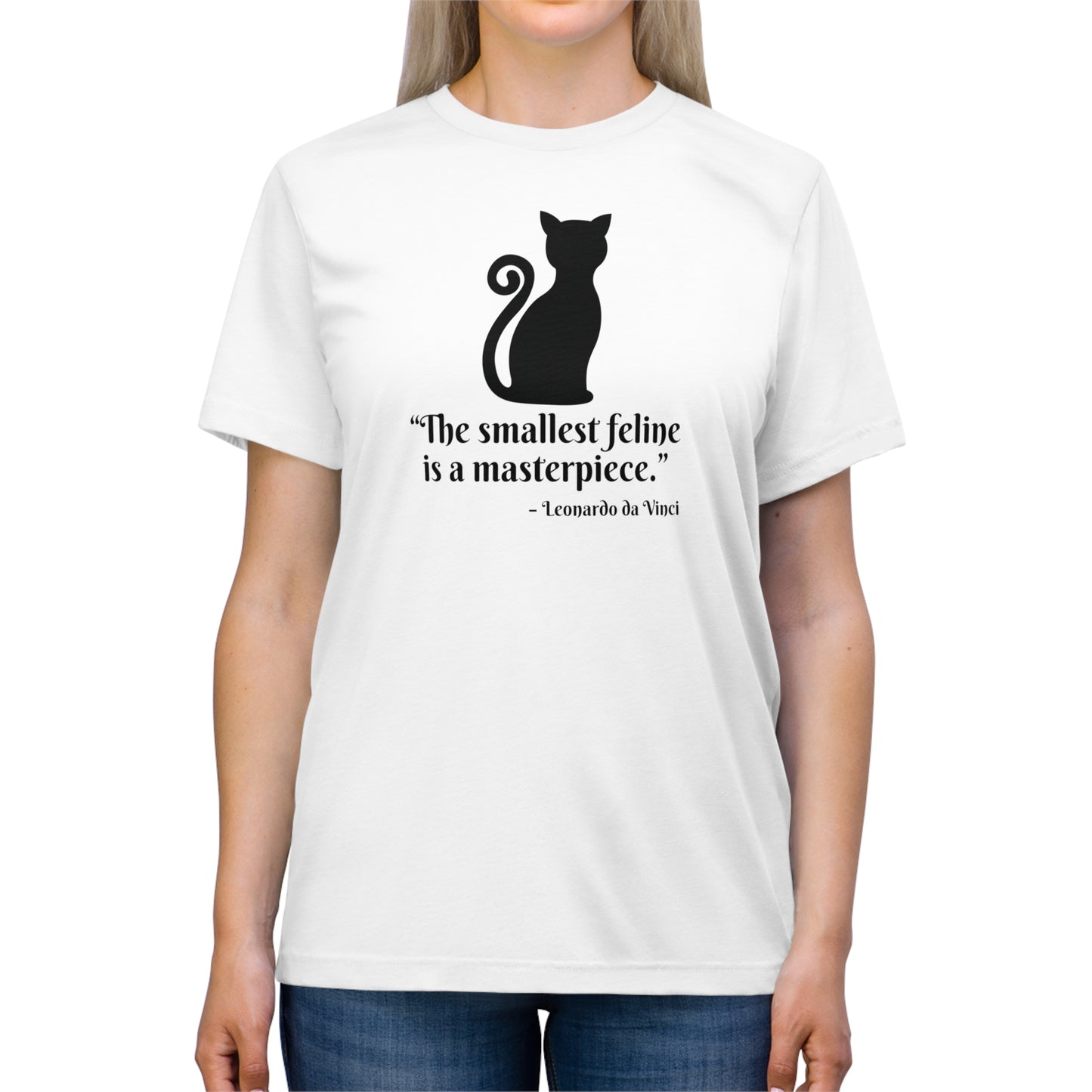 Masterpiece Cat Unisex Triblend Tee - T - Shirt - Epileptic Al’s Shop