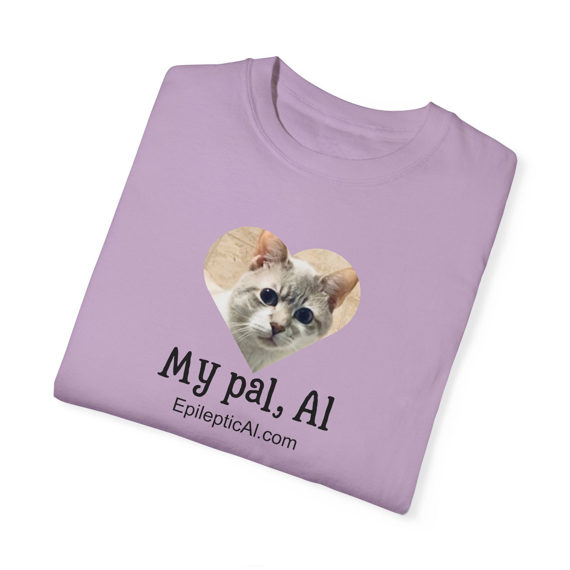 My Pal Al Unisex Garment - Dyed T - shirt - T - Shirt - Epileptic Al’s Shop