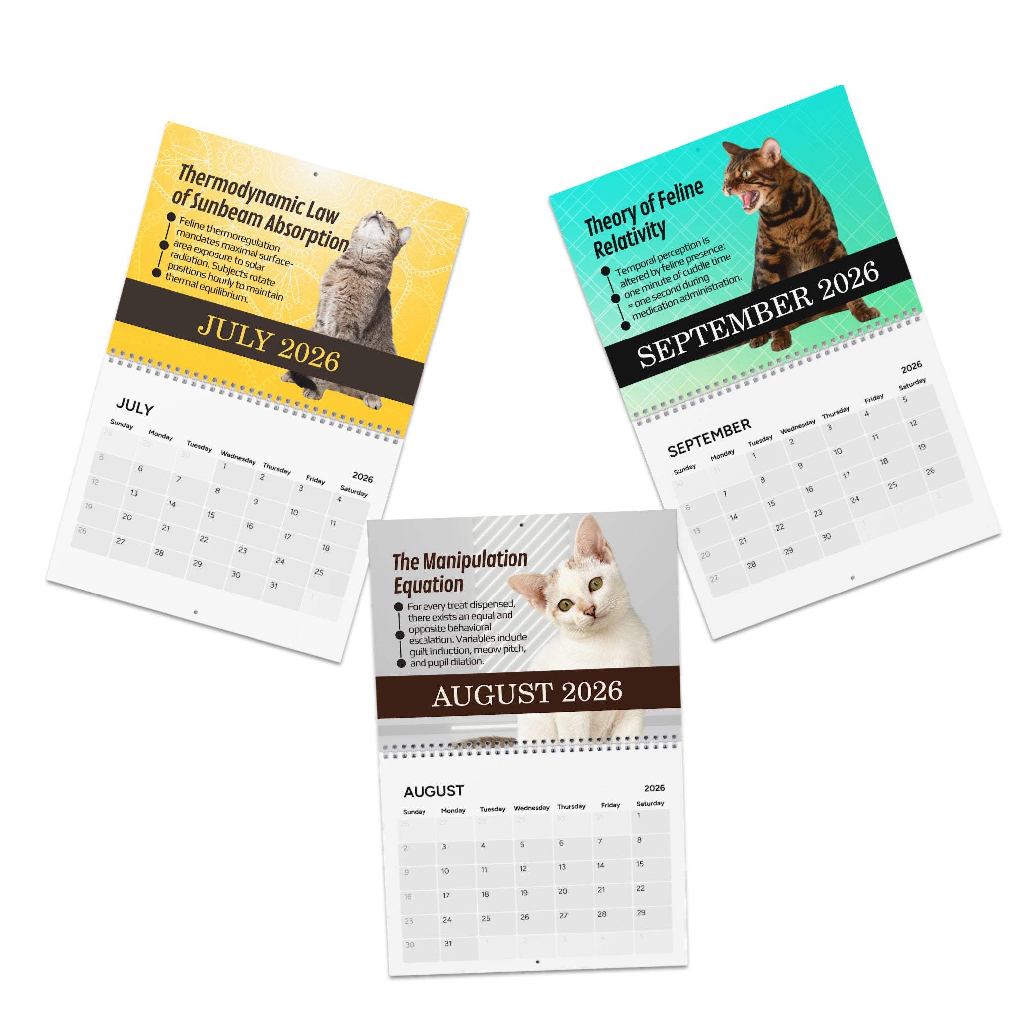 Paws & Effect: The Science of Cat Logic 2026 Calendar