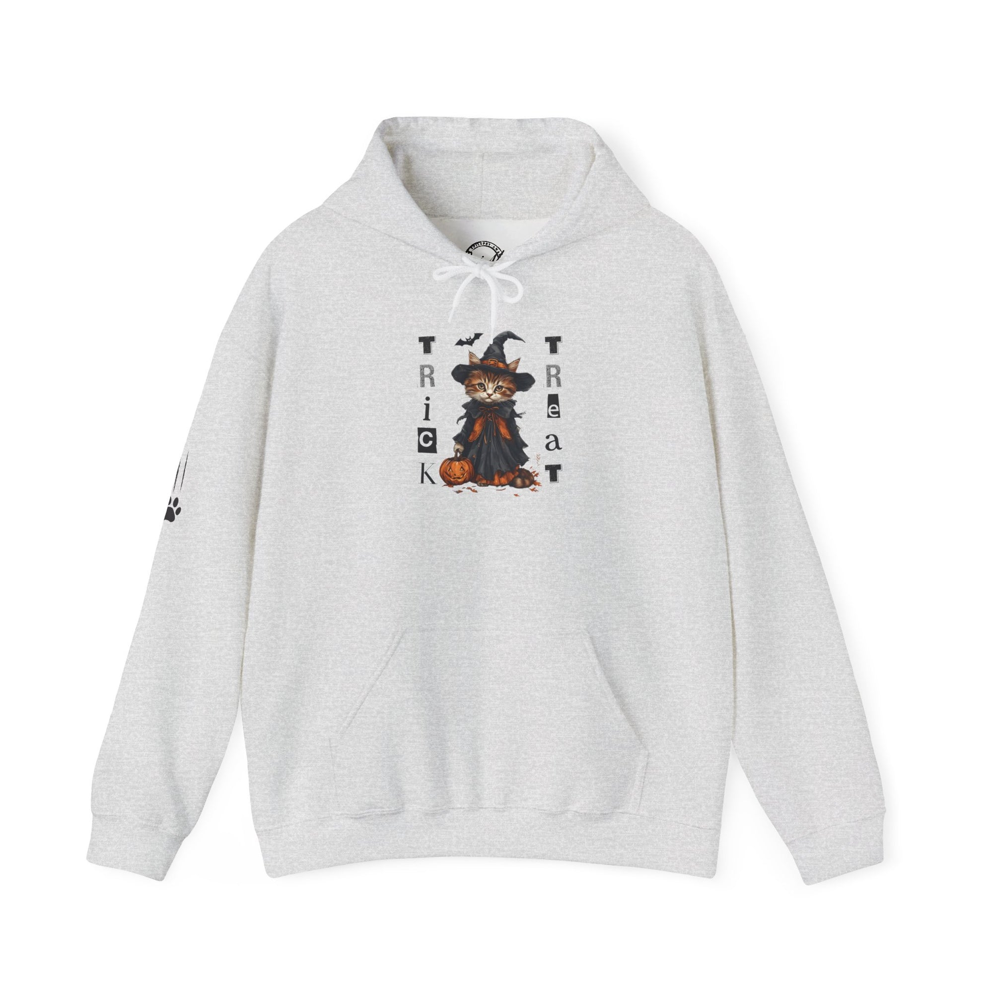 Cozy Halloween Witchy Cat Hoodie