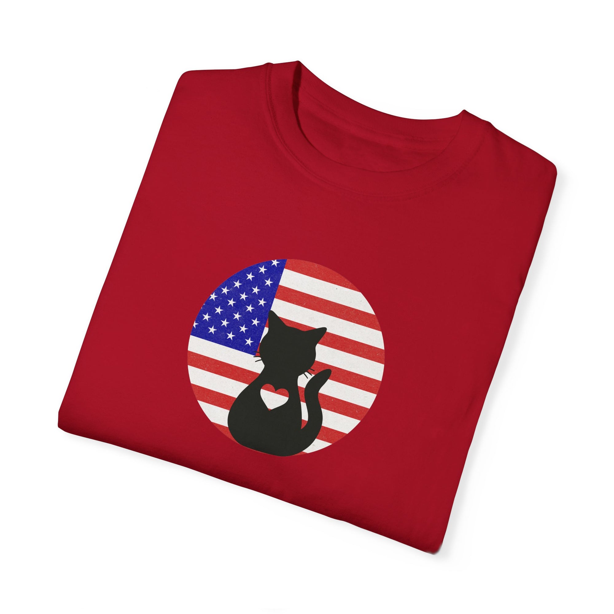 Americat Unisex Garment - Dyed T - shirt - T - Shirt - Epileptic Al’s Shop