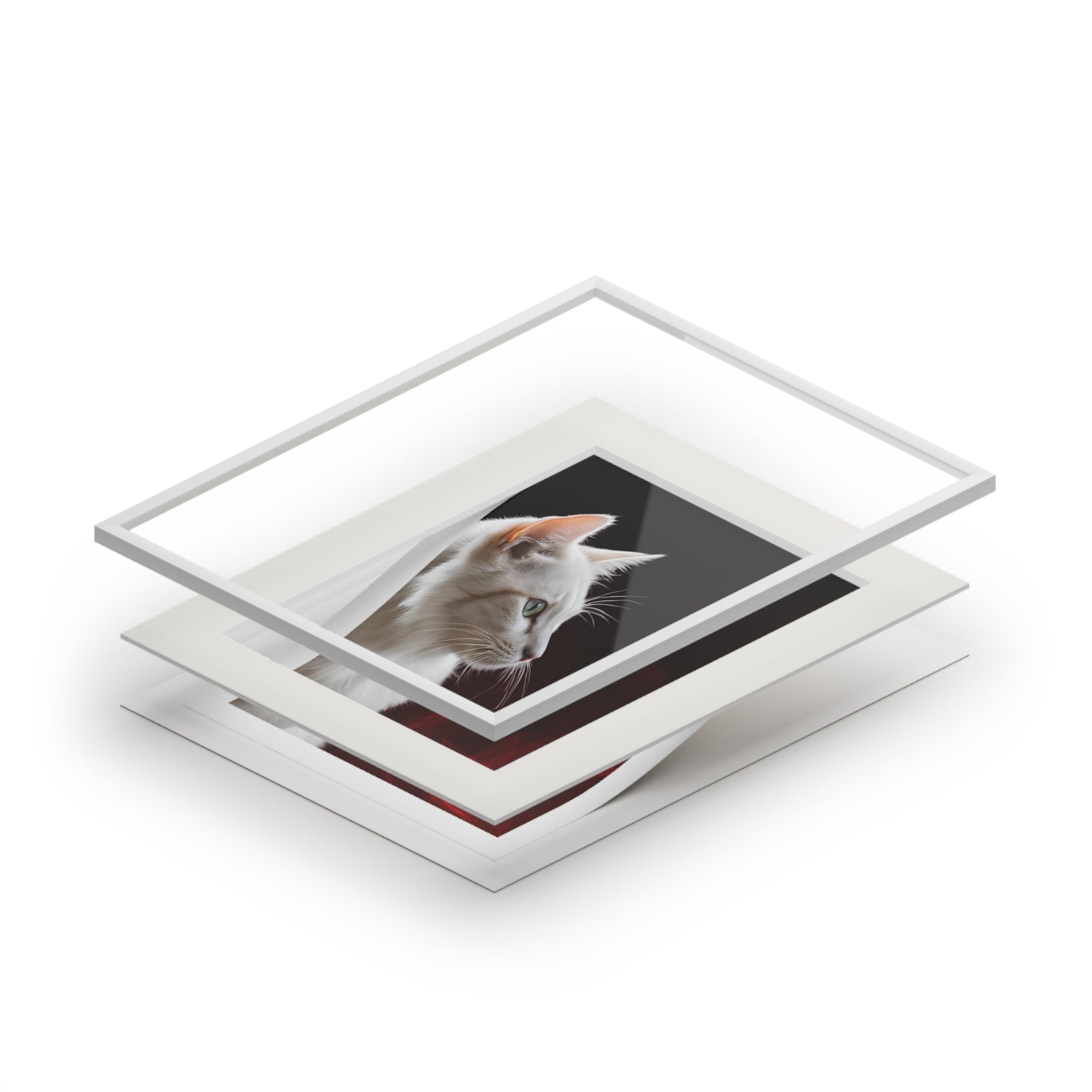 Wonderful White Cat Fine Art Print with Passepartout Frame Printify