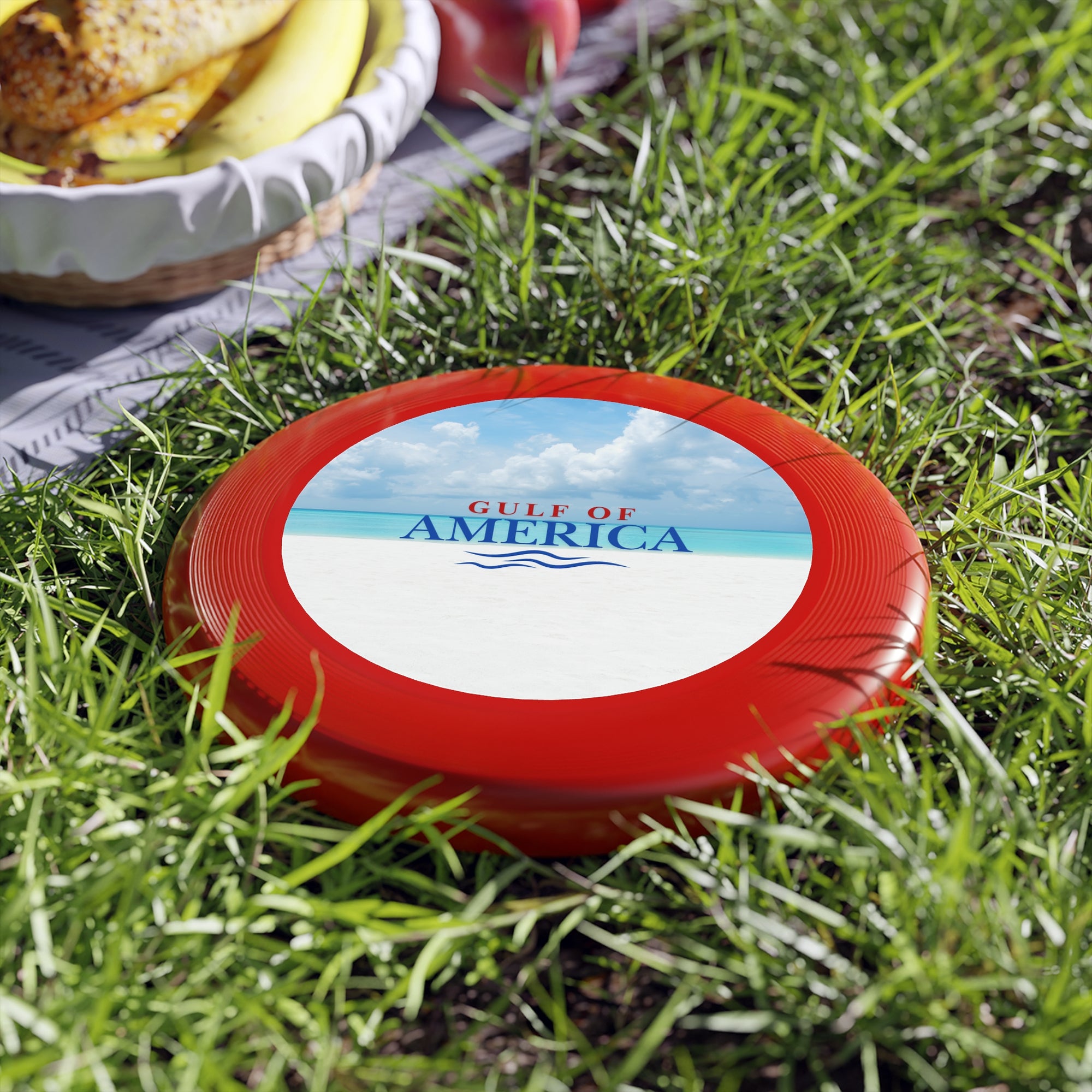 American Gulf Frisbee