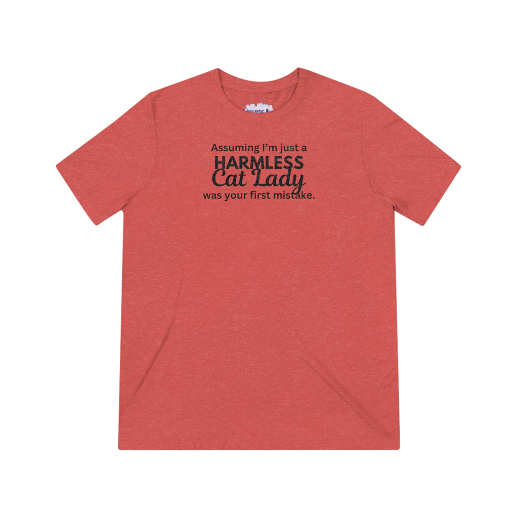 Harmless Cat Lady Triblend Tee - T - Shirt - Epileptic Al’s Shop