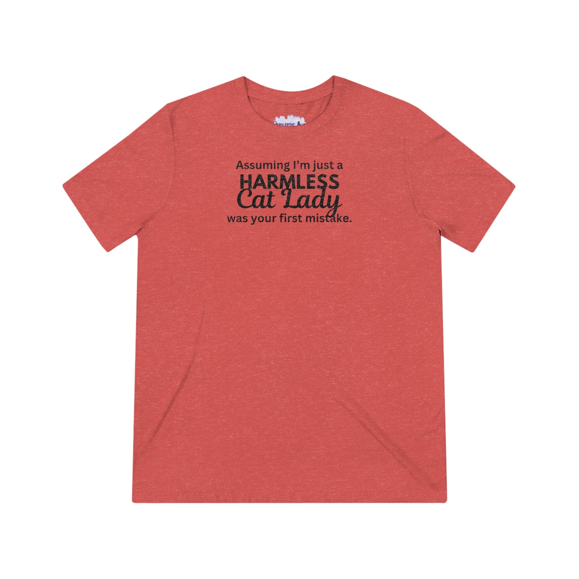Harmless Cat Lady Triblend Tee - T - Shirt - Epileptic Al’s Shop