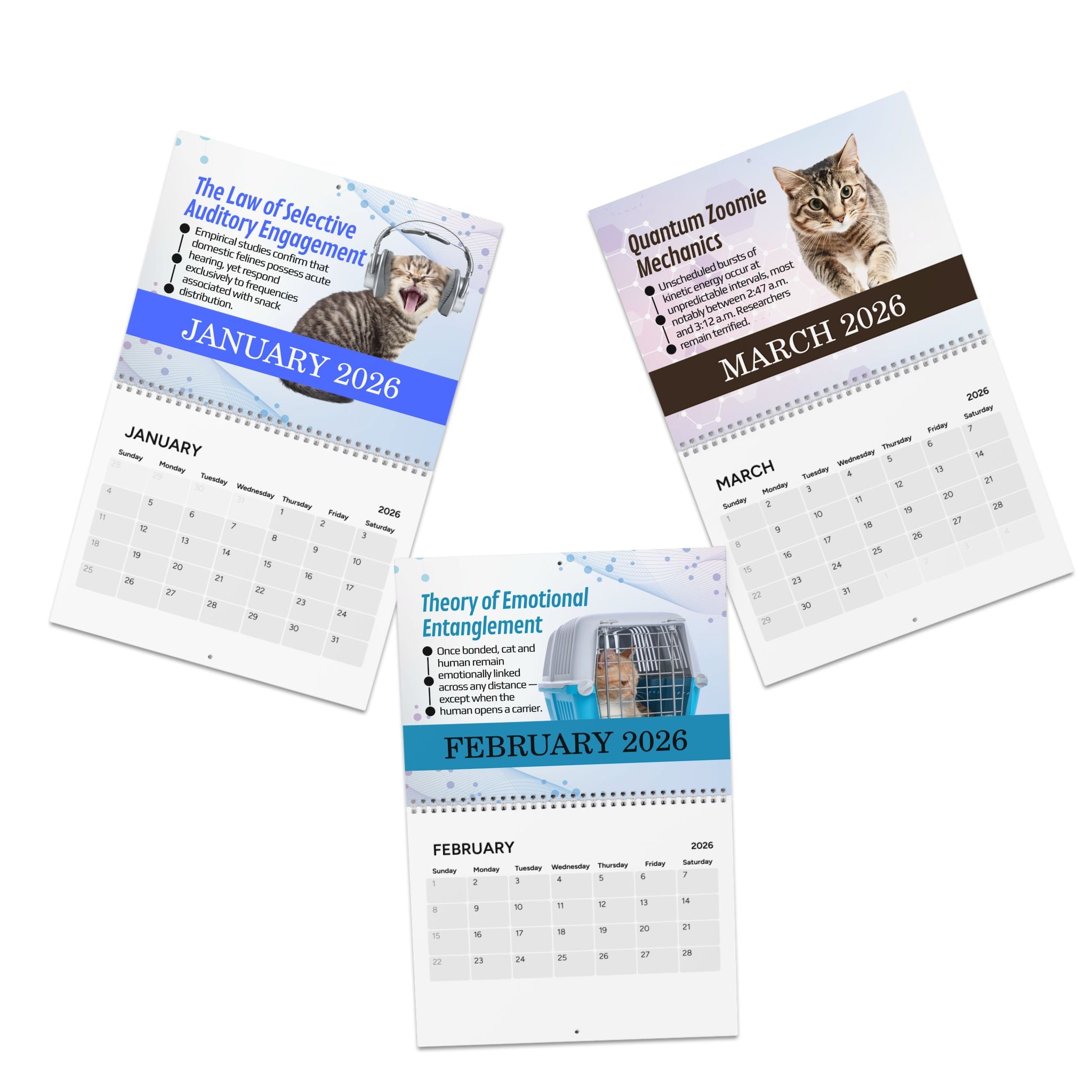 Paws & Effect: The Science of Cat Logic 2026 Calendar