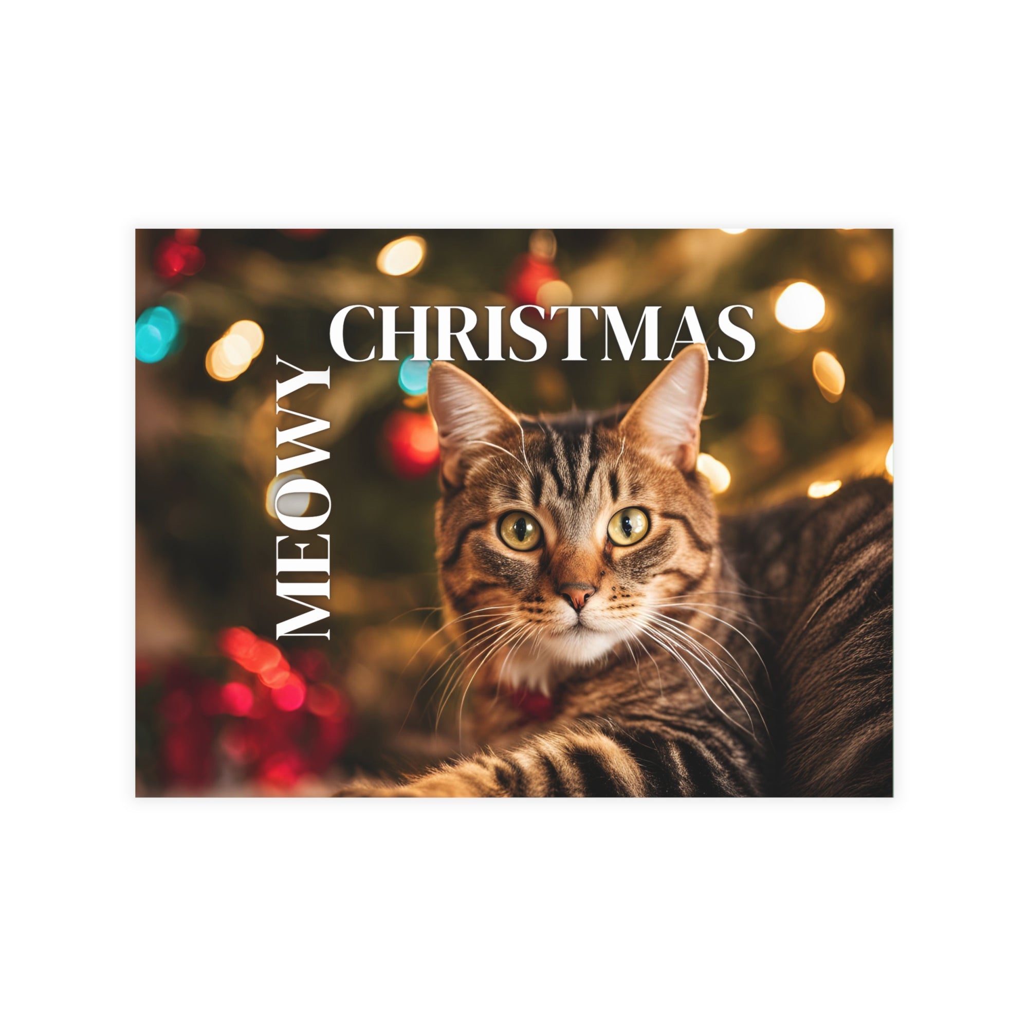 Meowy Christmas Postcard Bundles (envelopes included)