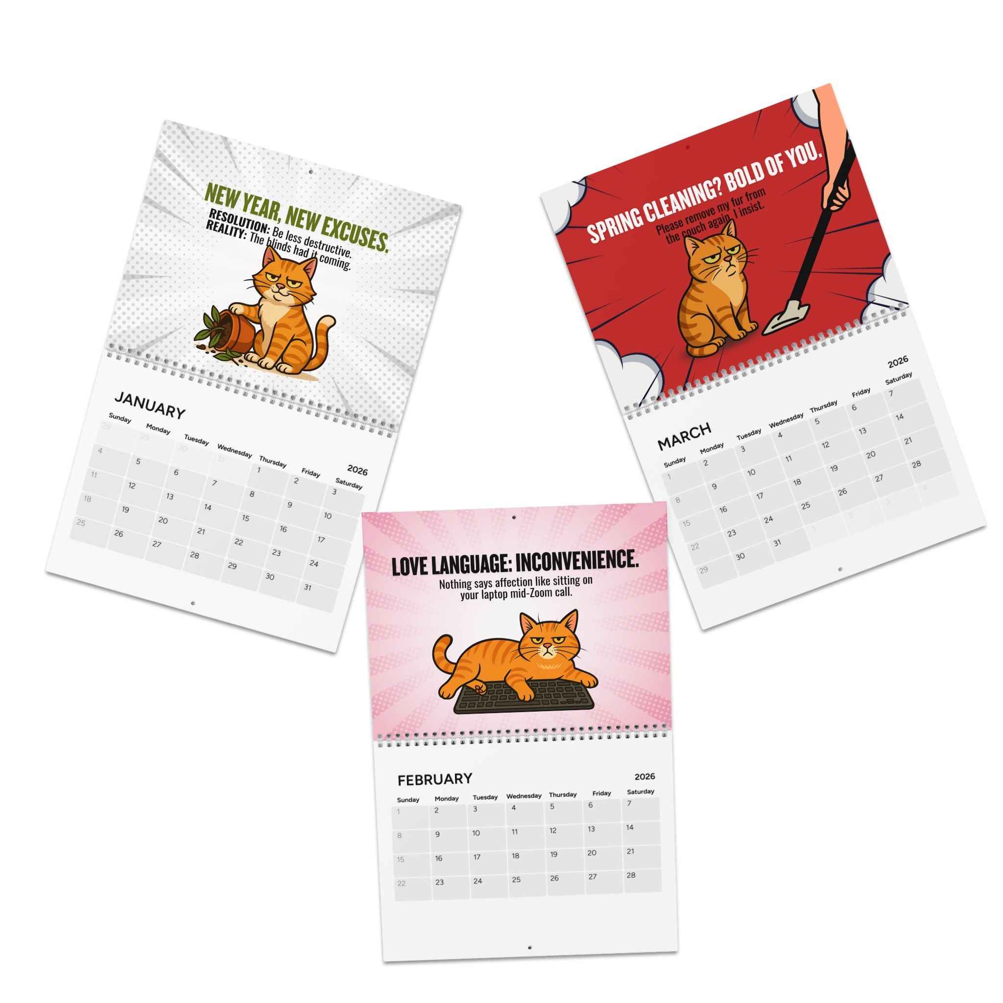 Catsplaining the Year – 2026 Funny Cat Calendar | EpilepticAL