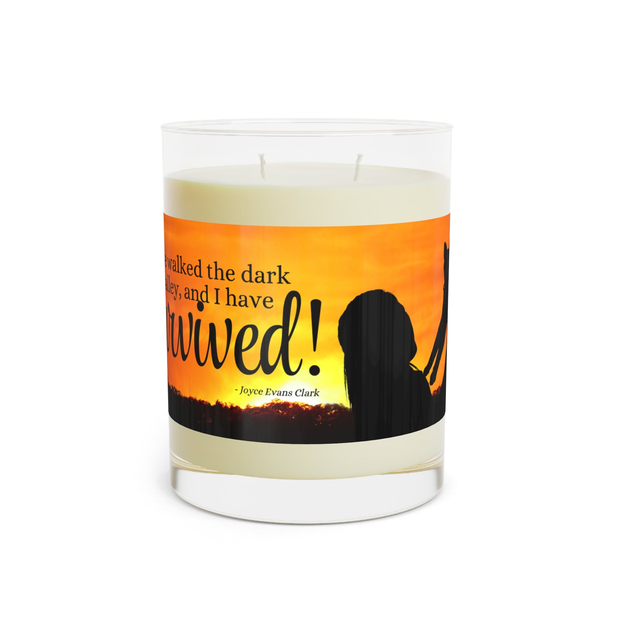 Photo depicting the ​Cat Lady Strong Scented Candle - Full Glass, 11oz from EpiAl's Shop.