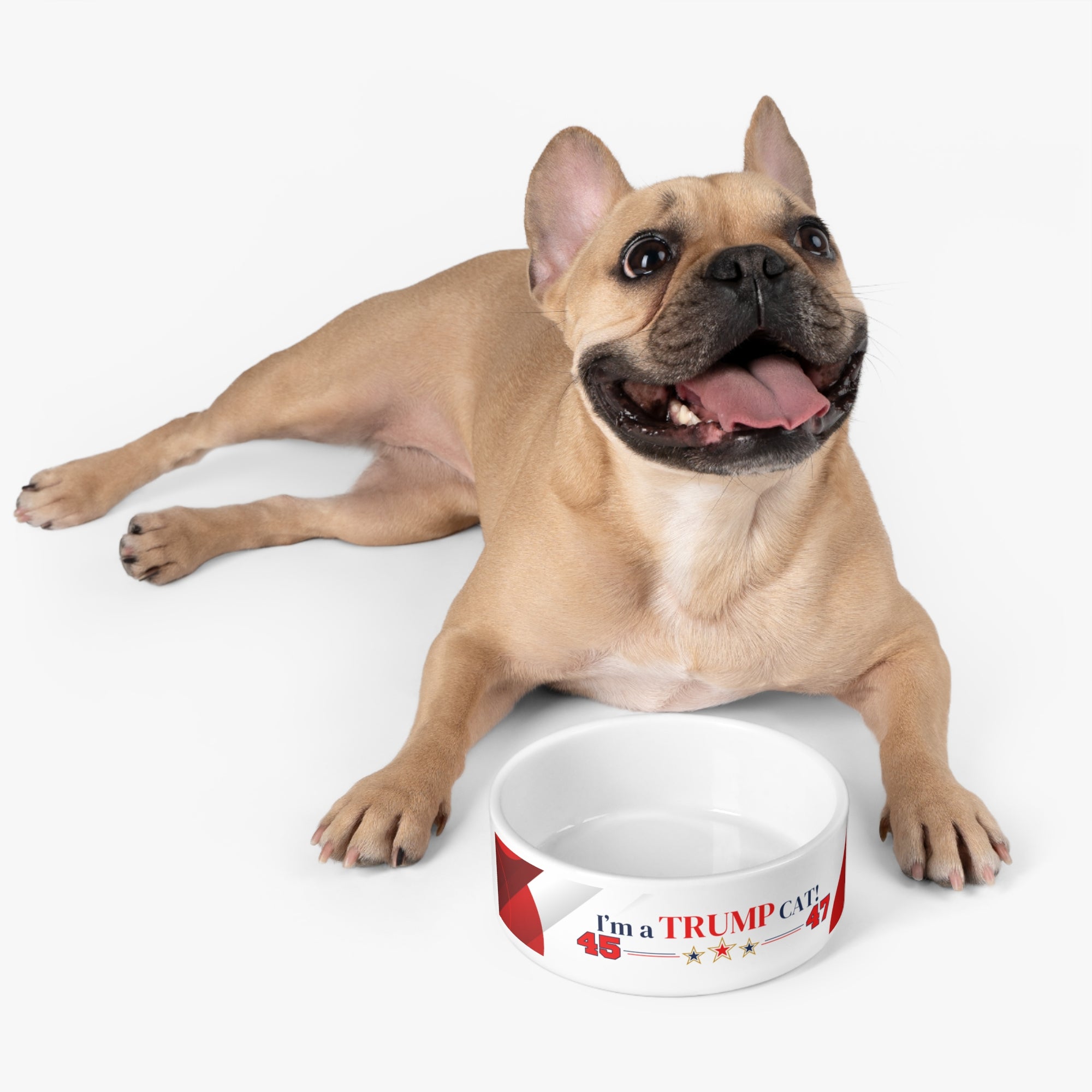 Trump 45 47 Pet Bowl