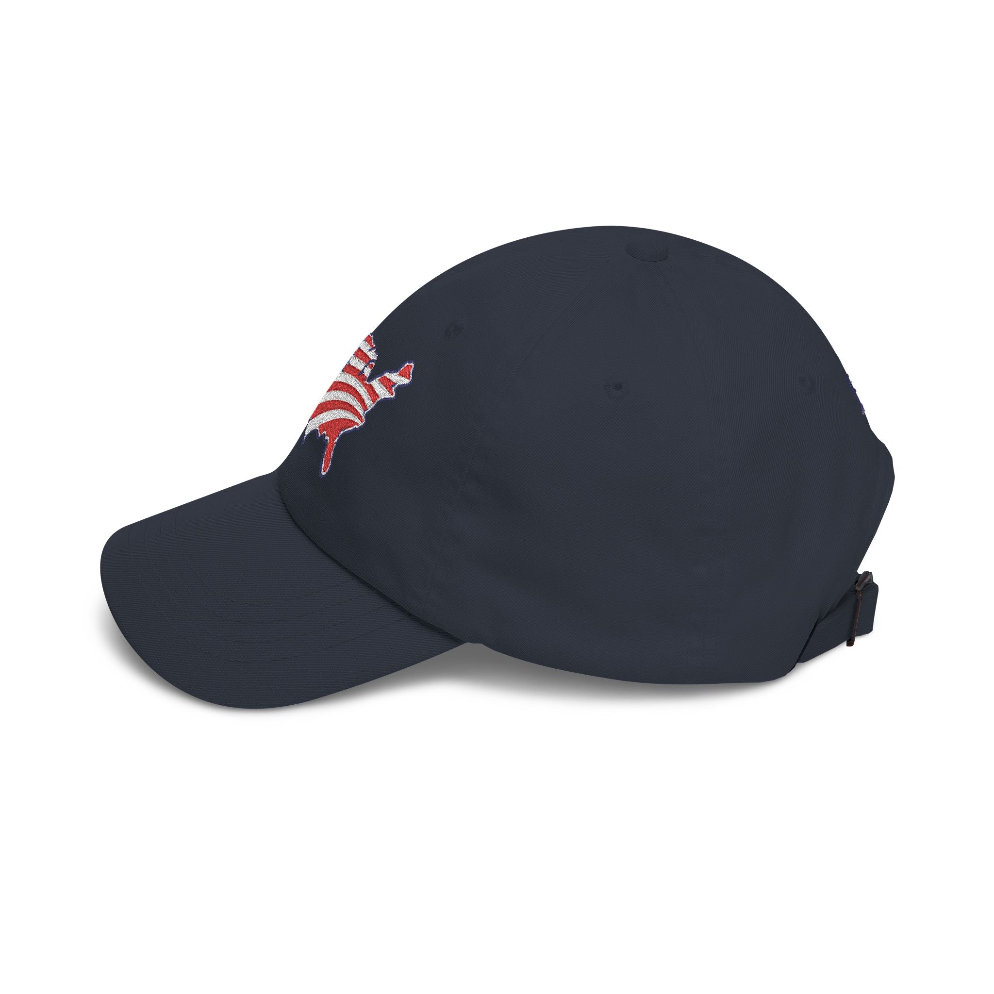 USA Map Embroidered Hat – Patriotic Political Parody Cap
