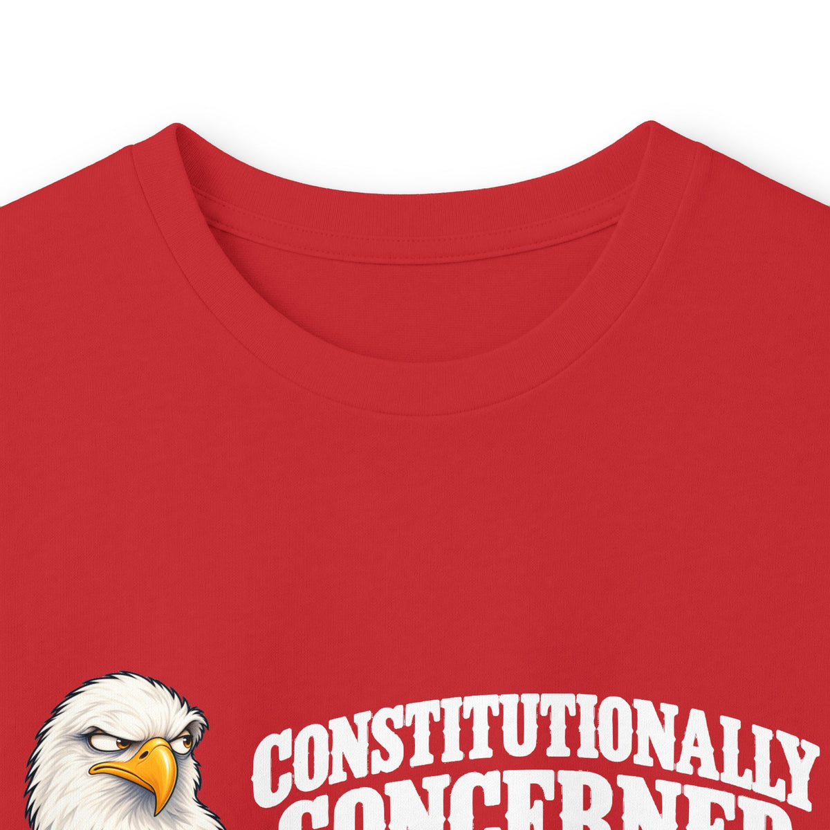 Constitutionally Concerned Bald Eagle Long Sleeve T-Shirt | Patriotic Humor