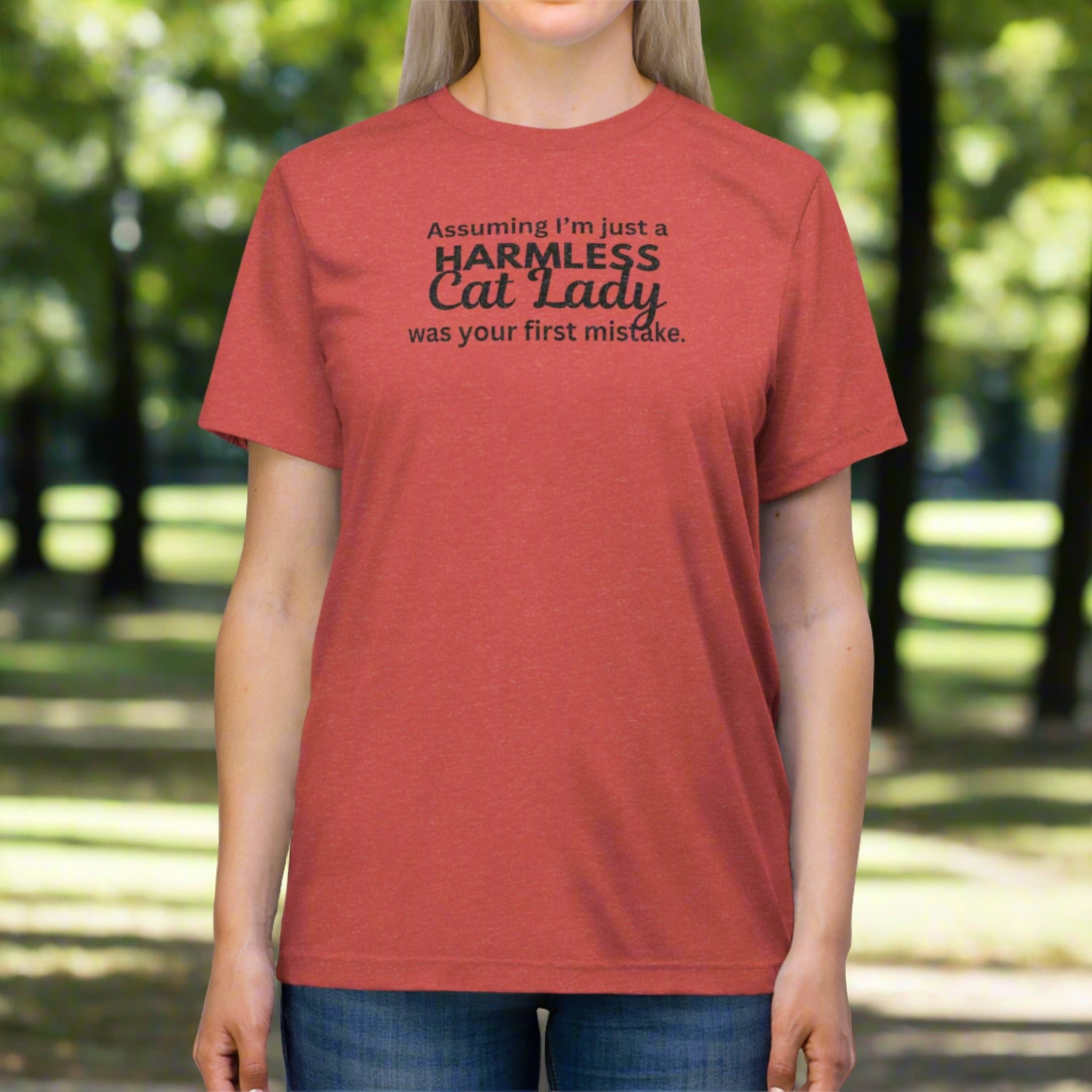 Harmless Cat Lady Triblend Tee - T - Shirt - Epileptic Al’s Shop