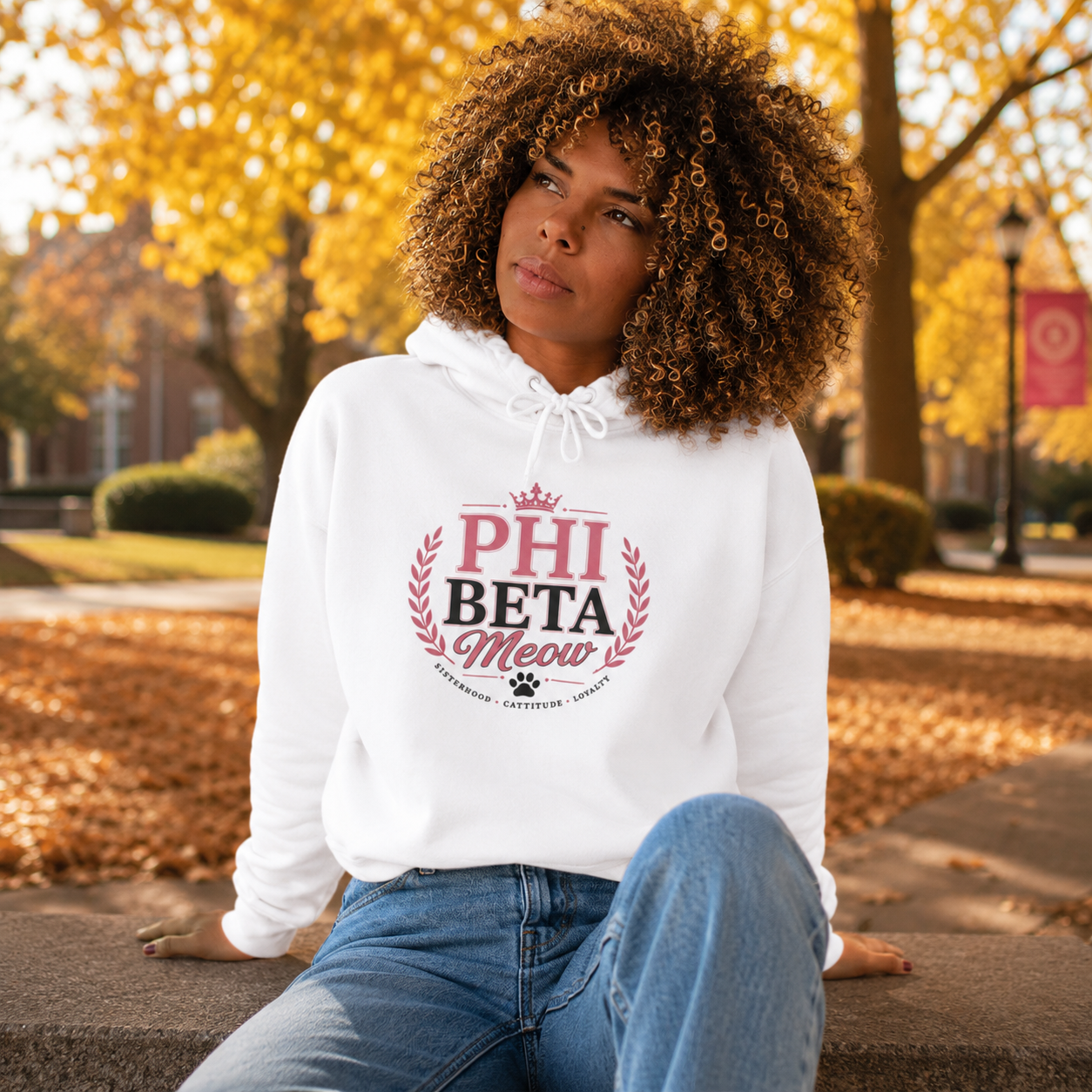 Phi Beta Meow Women’s Cropped Hoodie