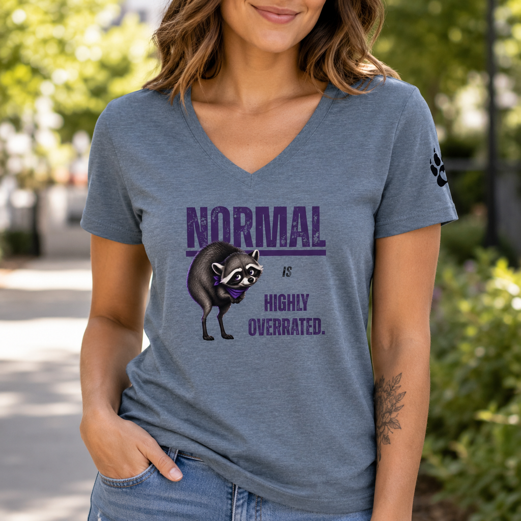 Normal Is Highly Overrated Jimothy Women’s V-Neck T-Shirt