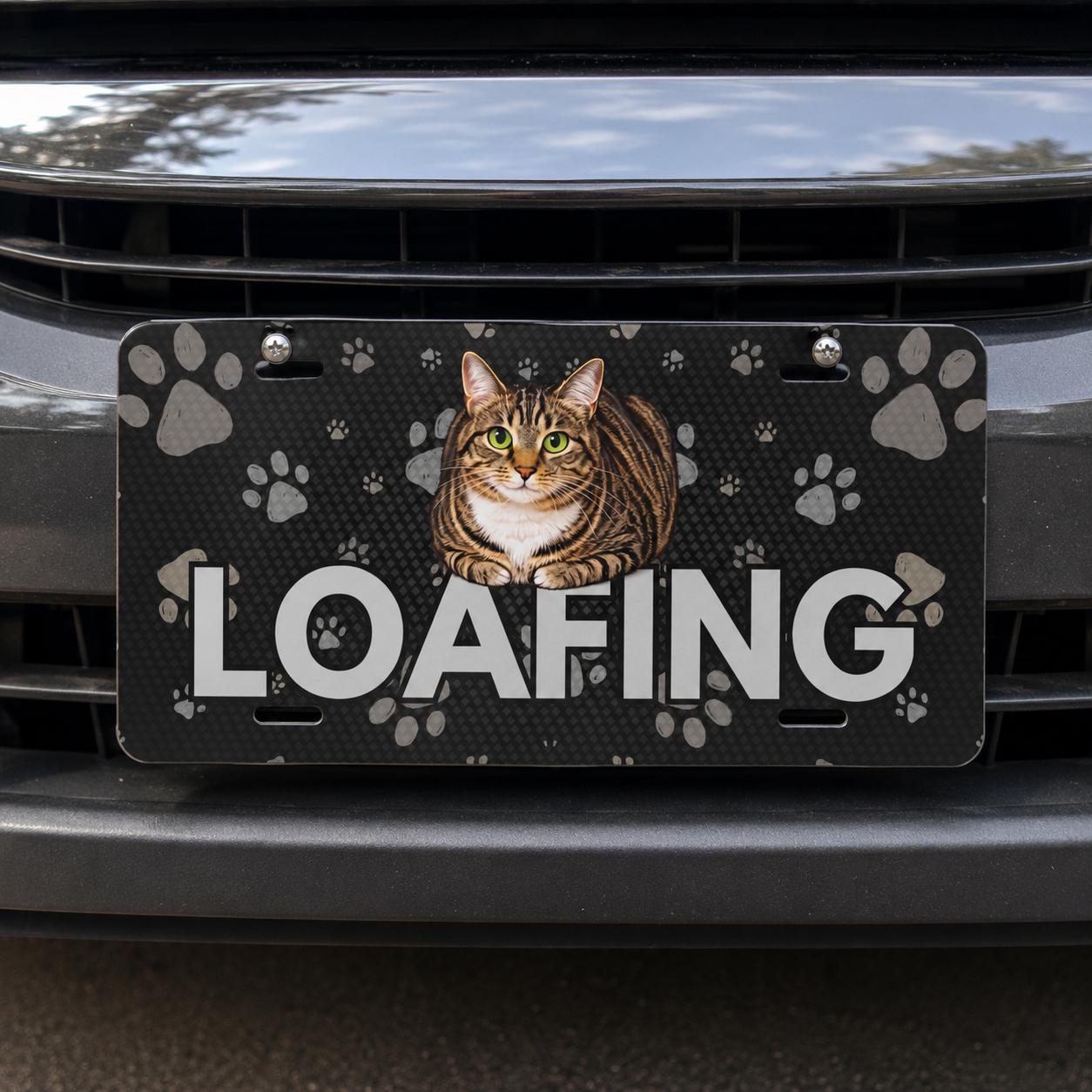 LOAFING Cat Vanity Plate – Funny Cat Lover Aluminum License Plate Sign