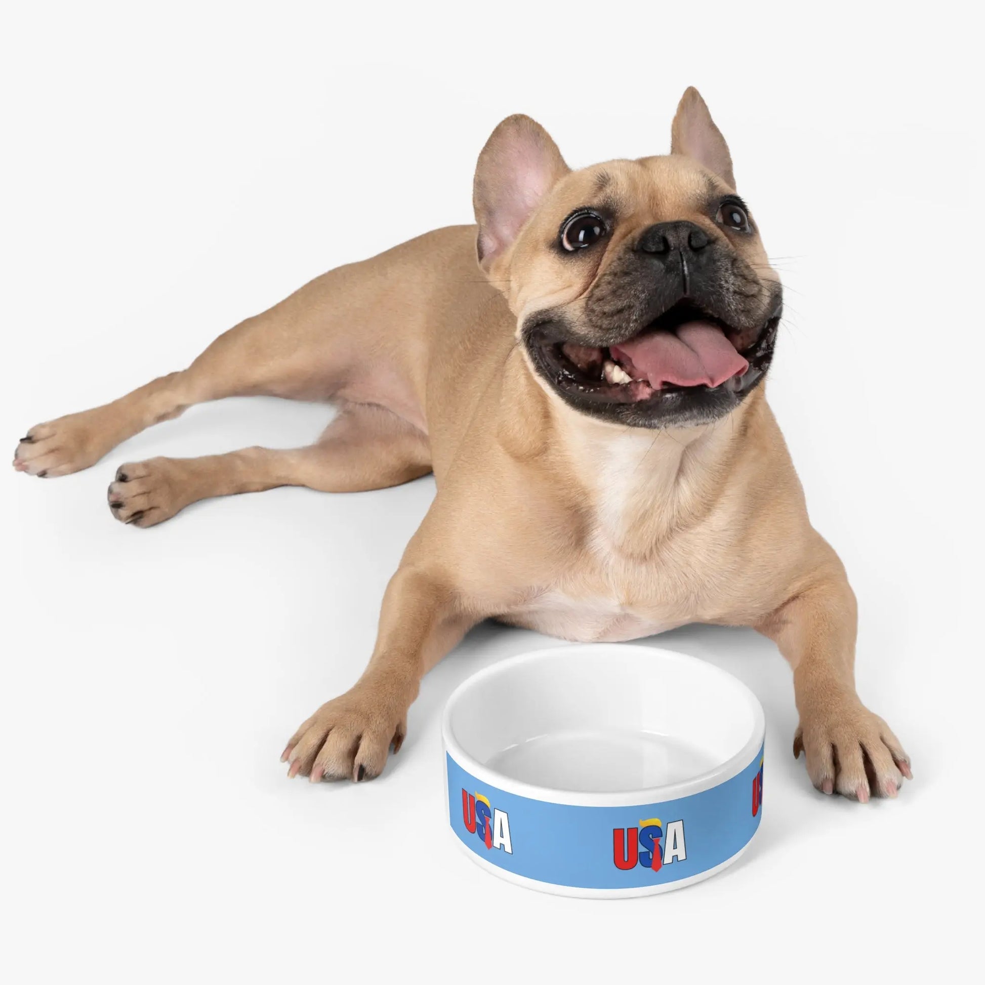 Patriotic USA Pet Bowl - Perfect for Dog & Cat Lovers! Printify