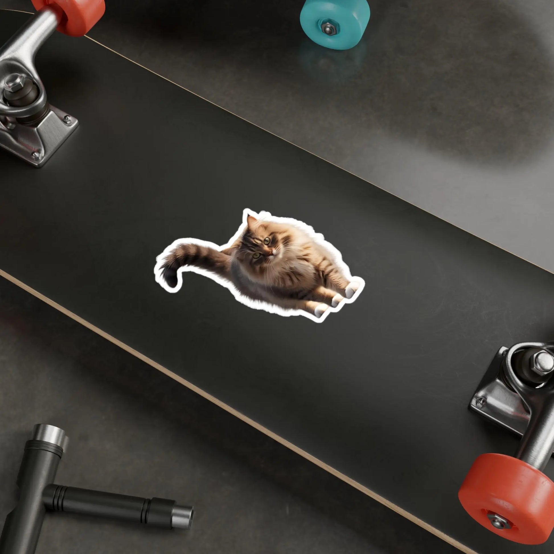 Realistic Cat Vinyl Sticker - Perfect for Cat Lovers and Home Decor Printify