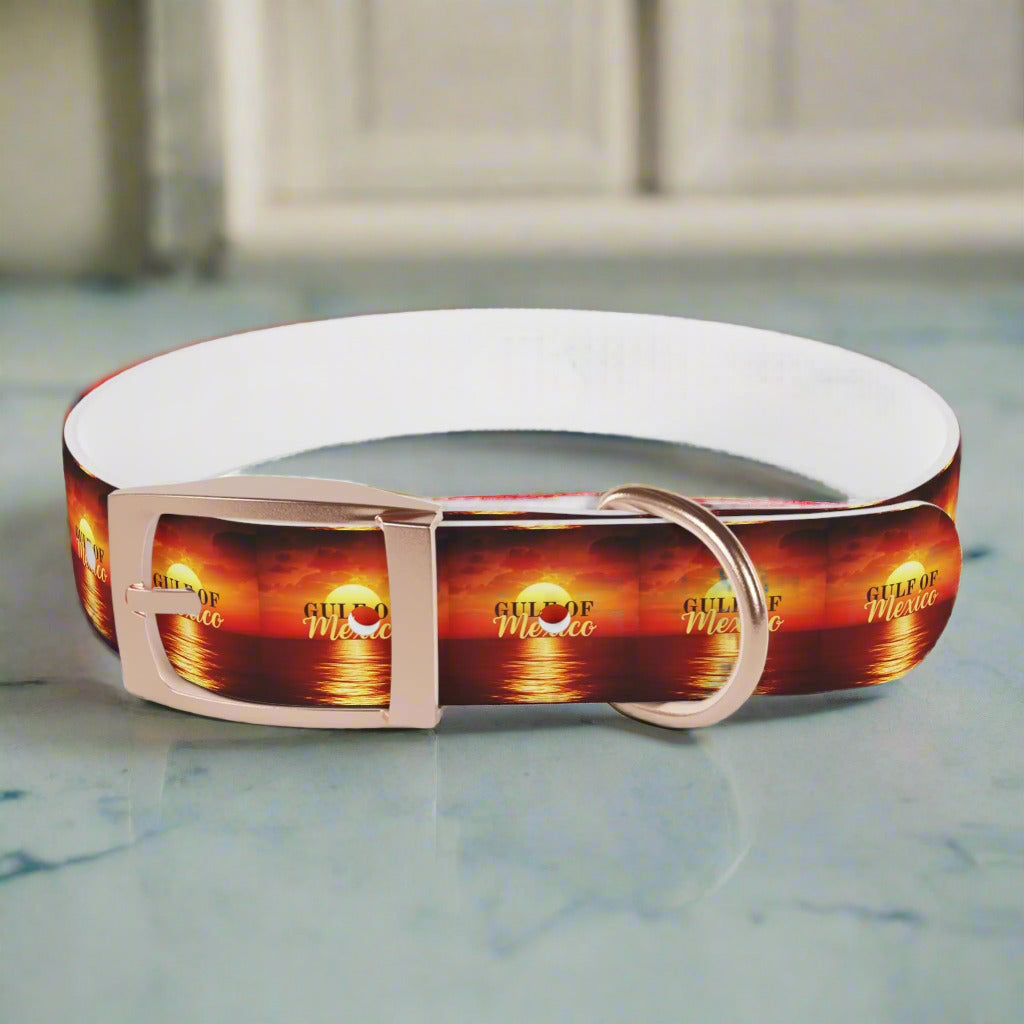 Trendy Gulf of Mexico Dog Collar - Stylish Pet Accessory Printify