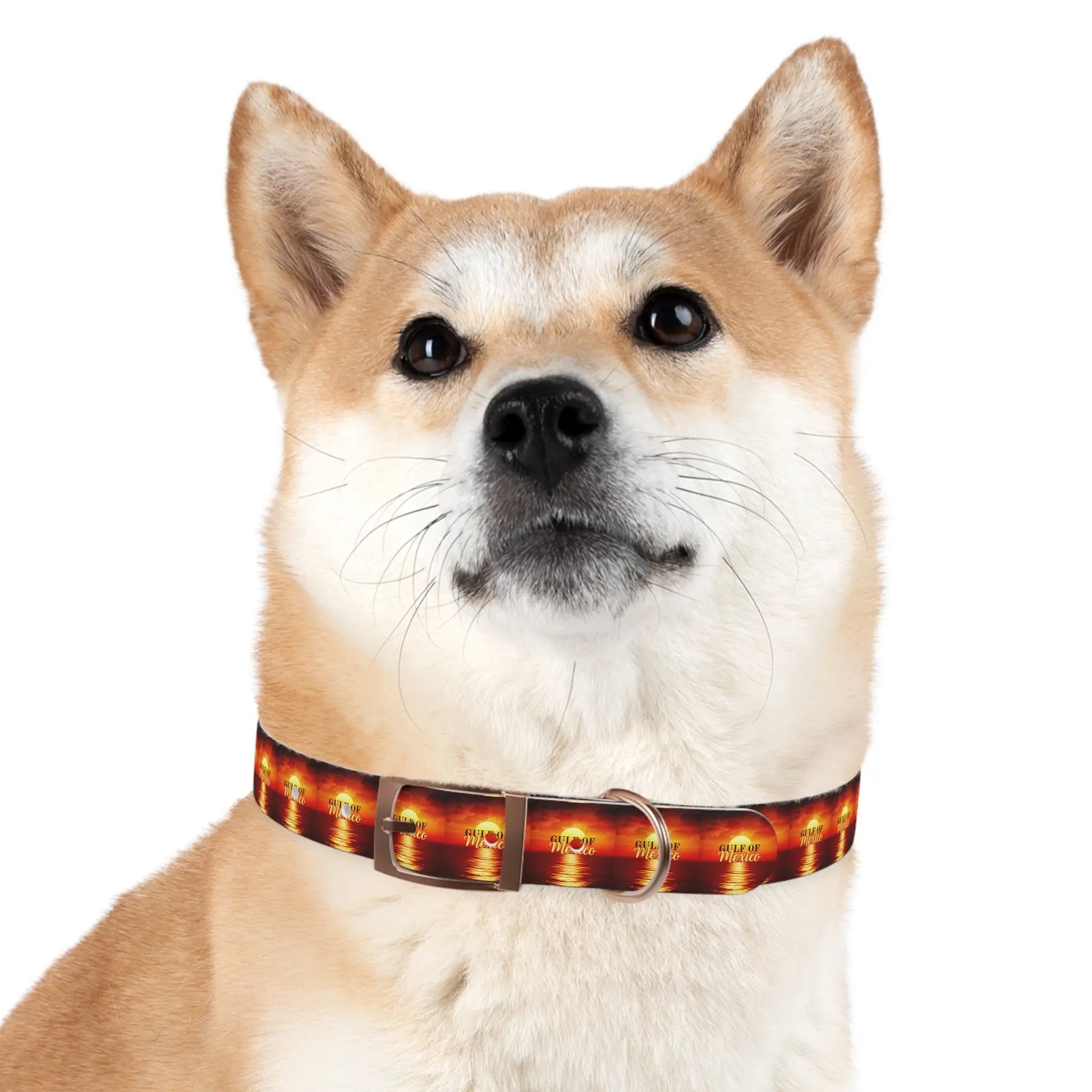 Trendy Gulf of Mexico Dog Collar - Stylish Pet Accessory Printify