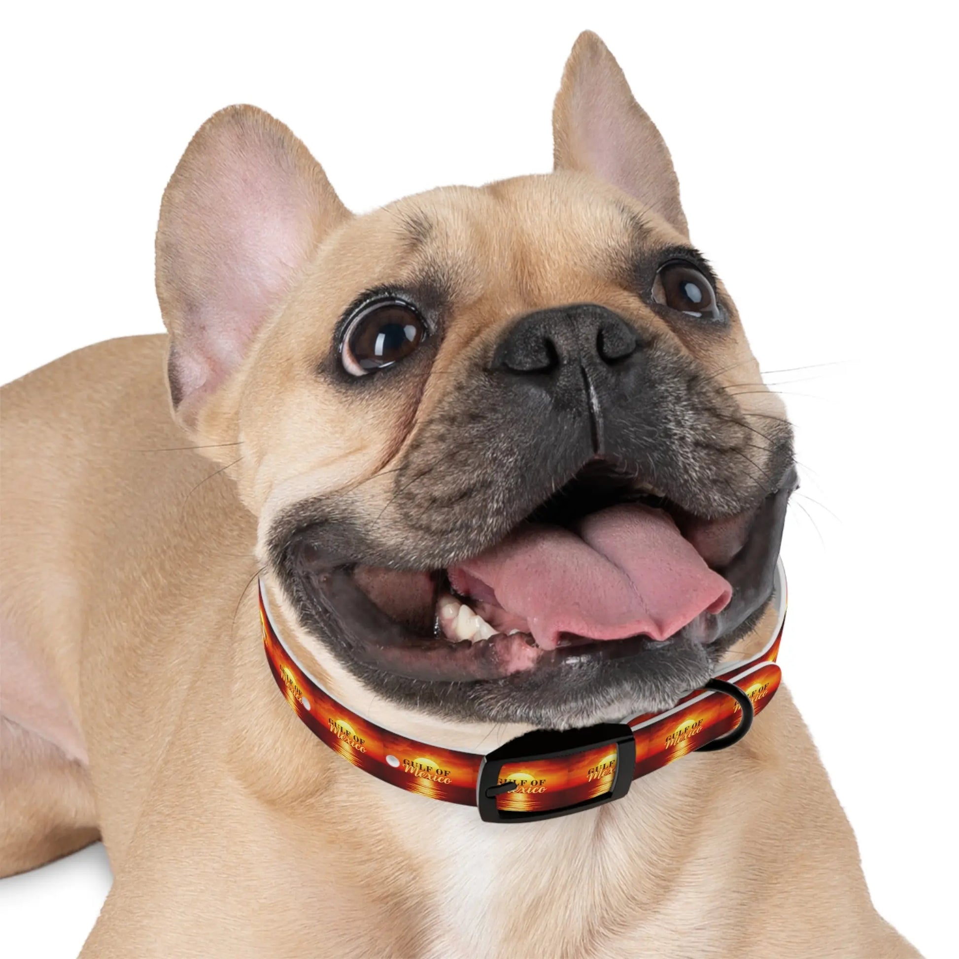 Trendy Gulf of Mexico Dog Collar - Stylish Pet Accessory Printify