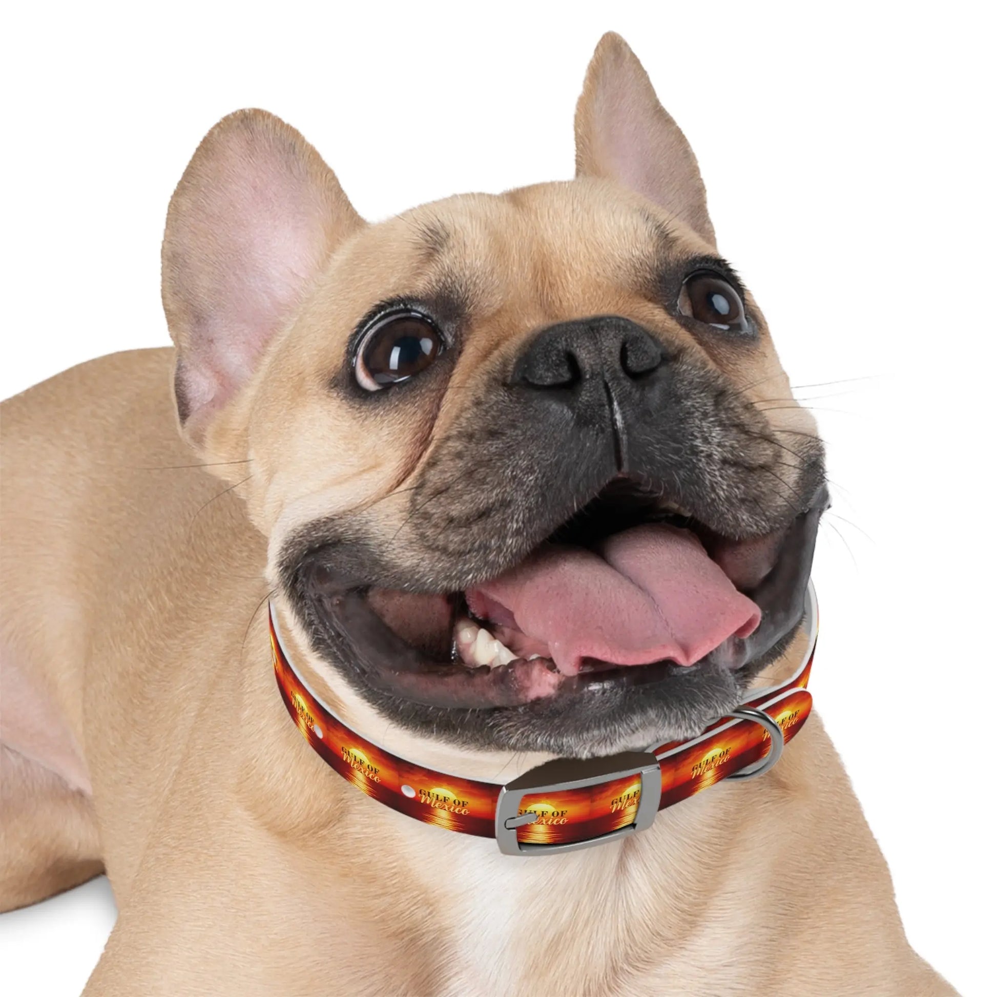 Trendy Gulf of Mexico Dog Collar - Stylish Pet Accessory Printify