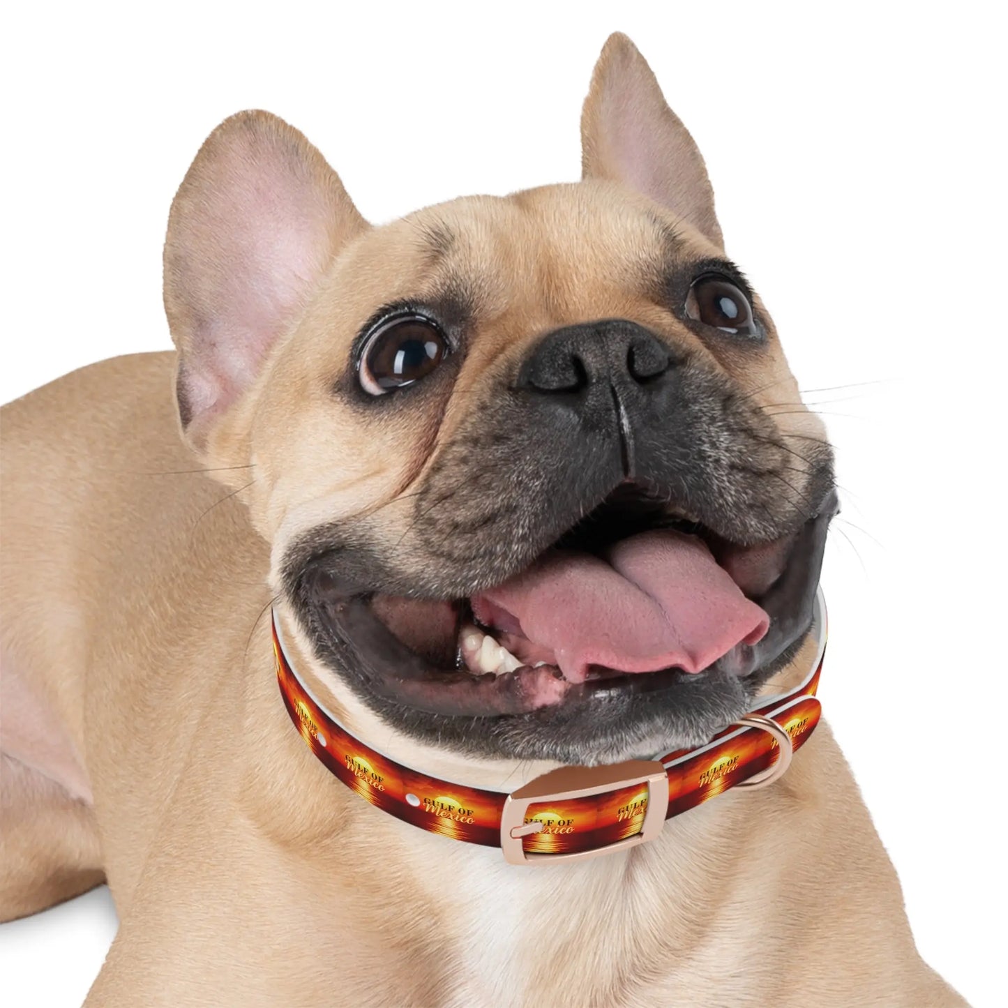 Trendy Gulf of Mexico Dog Collar - Stylish Pet Accessory Printify