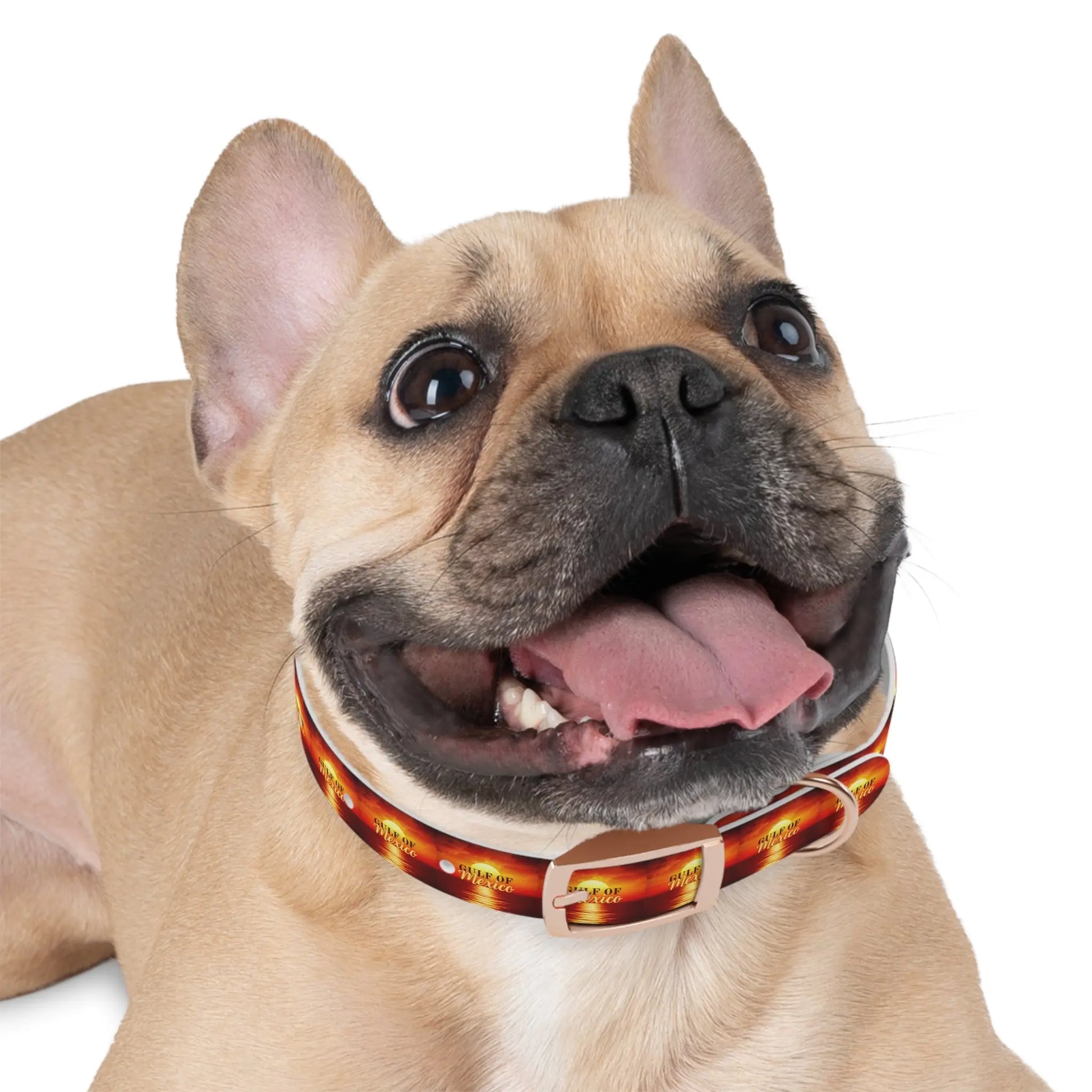 Trendy Gulf of Mexico Dog Collar - Stylish Pet Accessory Printify