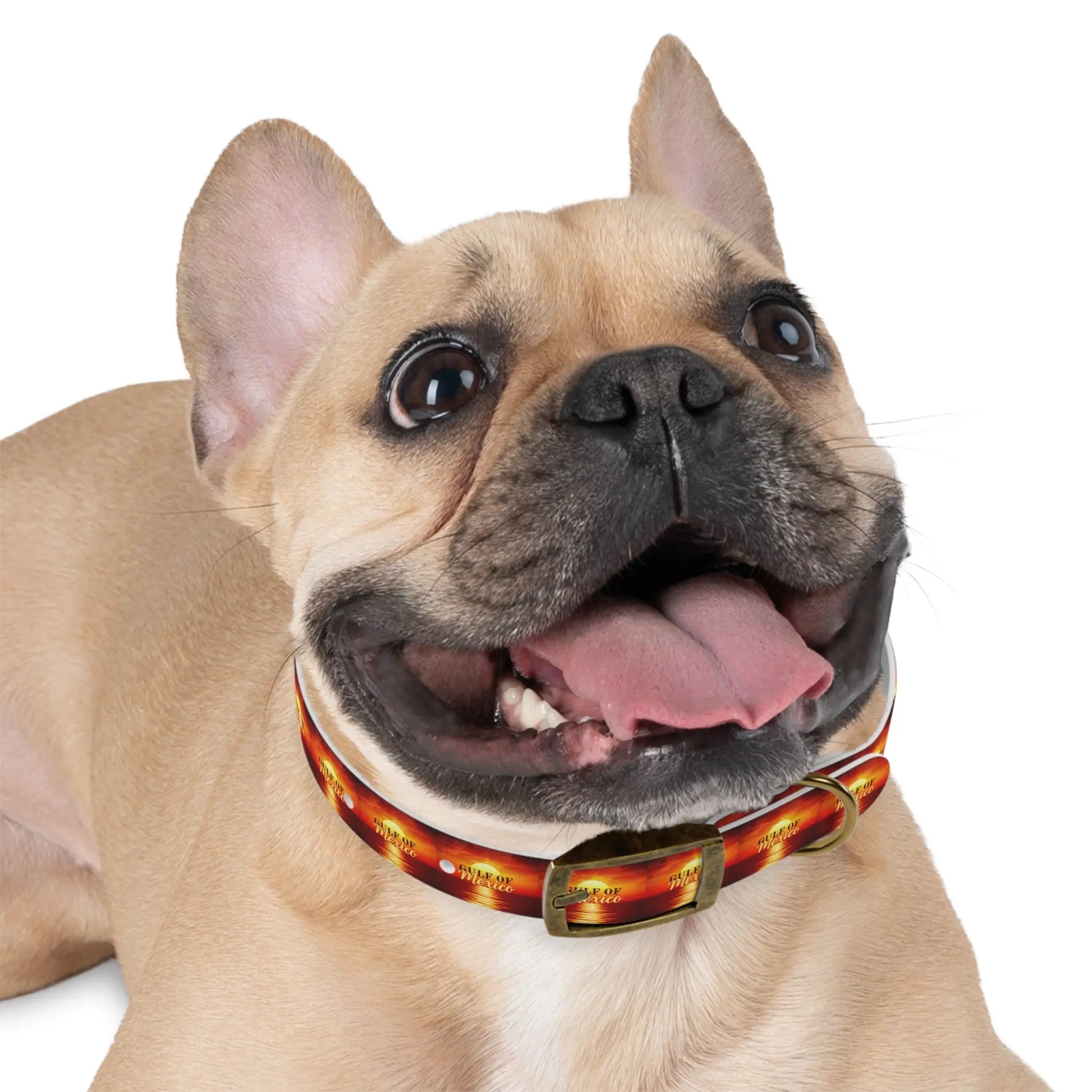 Trendy Gulf of Mexico Dog Collar - Stylish Pet Accessory Printify