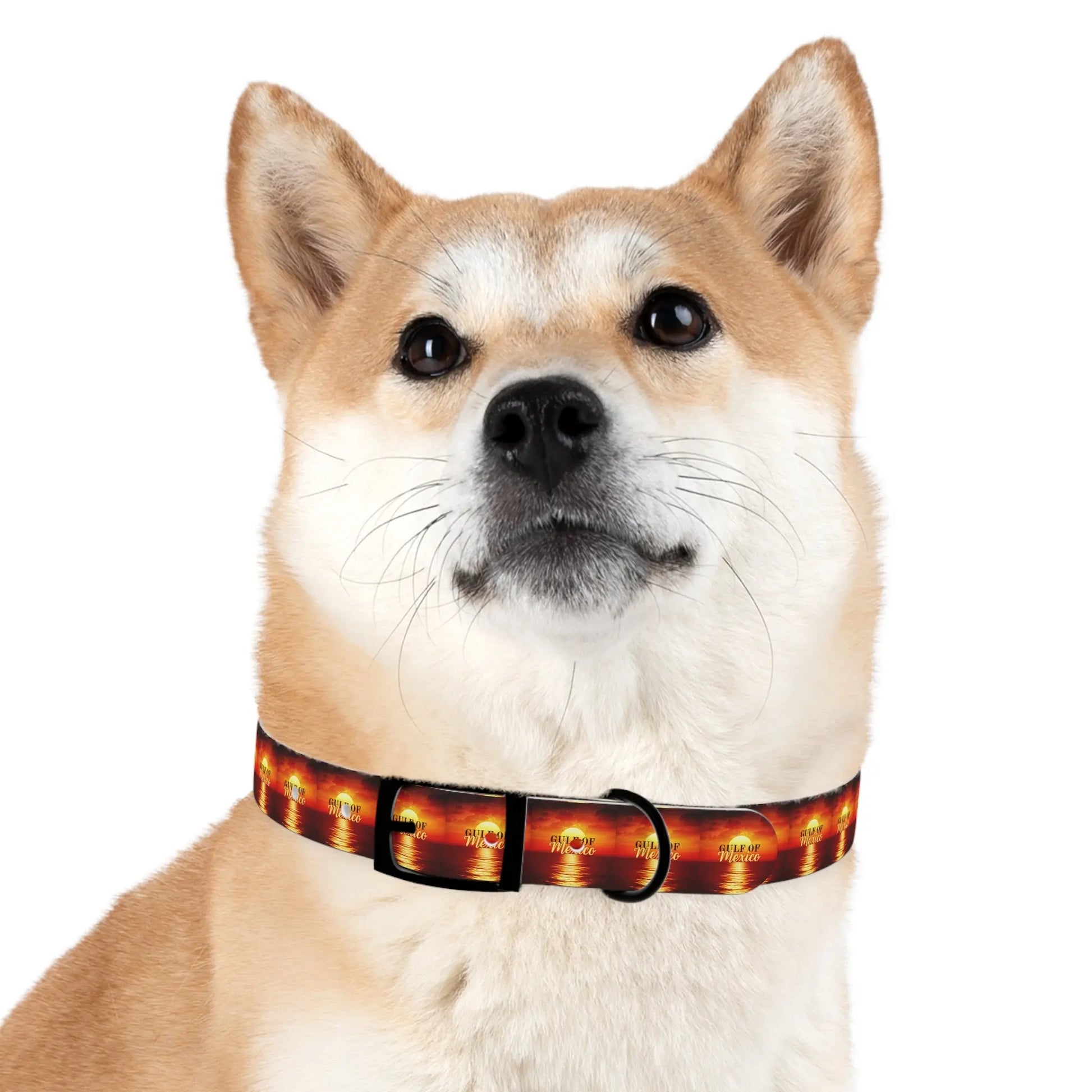 Trendy Gulf of Mexico Dog Collar - Stylish Pet Accessory Printify