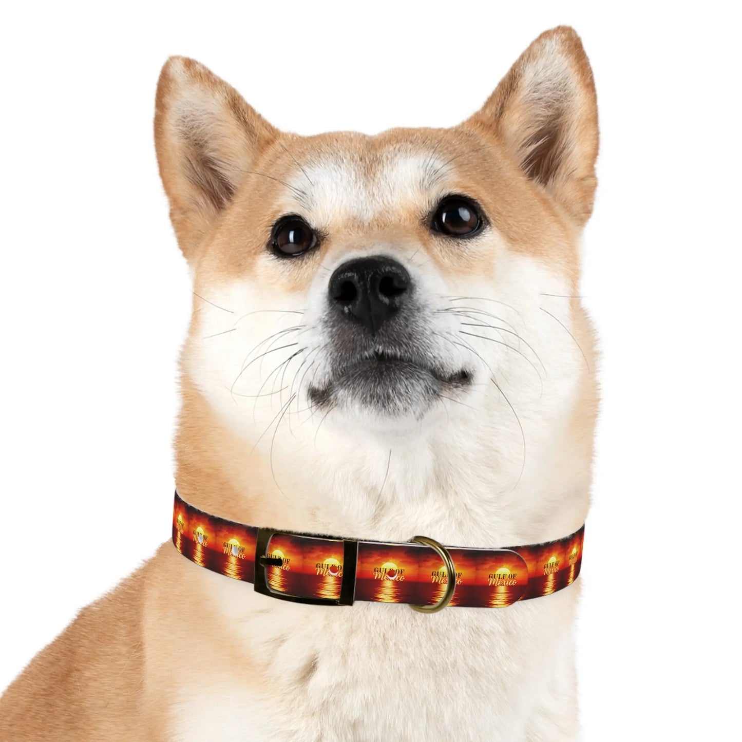 Trendy Gulf of Mexico Dog Collar - Stylish Pet Accessory Printify