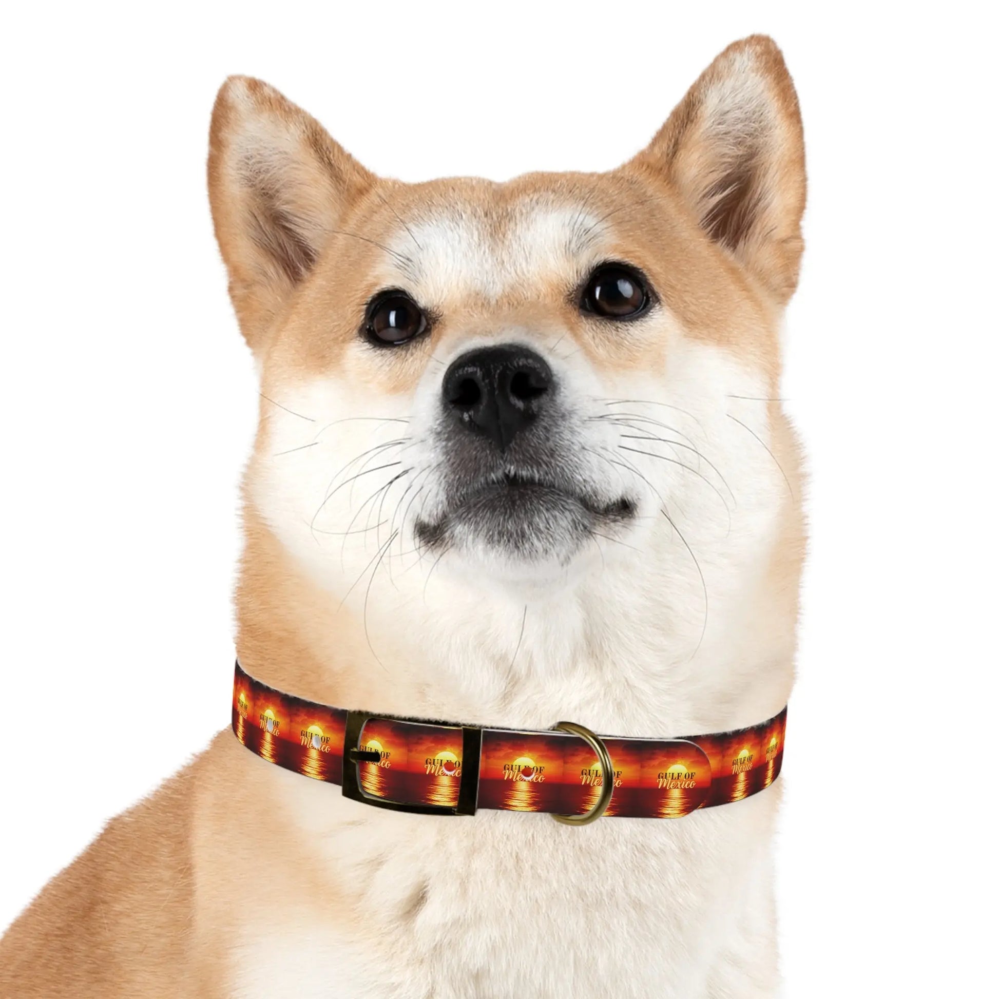 Trendy Gulf of Mexico Dog Collar - Stylish Pet Accessory Printify