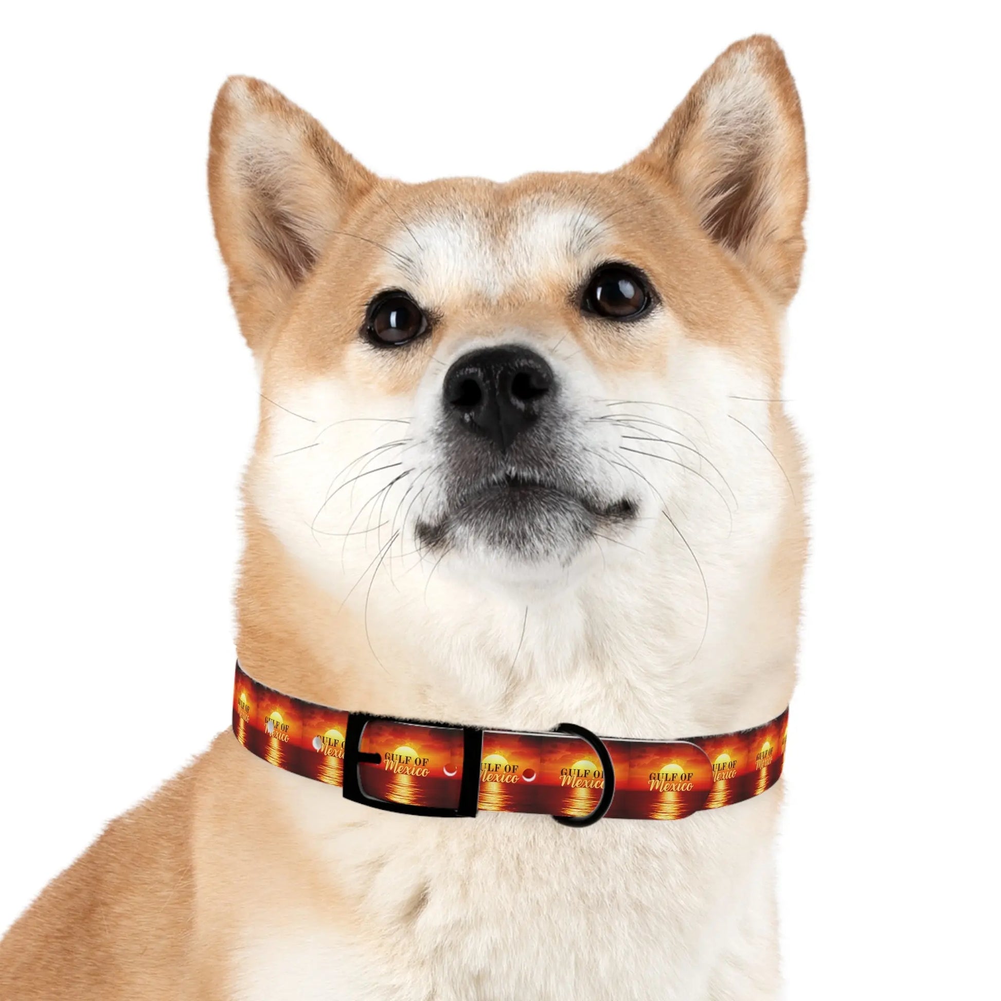 Trendy Gulf of Mexico Dog Collar - Stylish Pet Accessory Printify