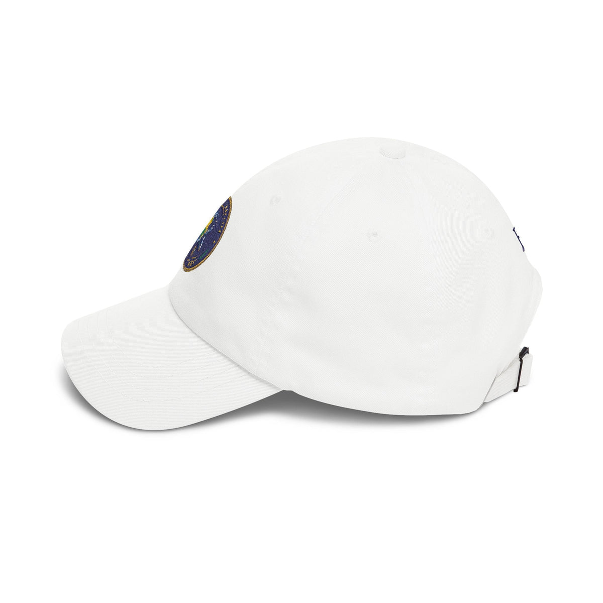 Alternate Reality Department Embroidered Hat – Satirical Seal Cap - Hats, Baseball & Trucker - EpiAl's Shop