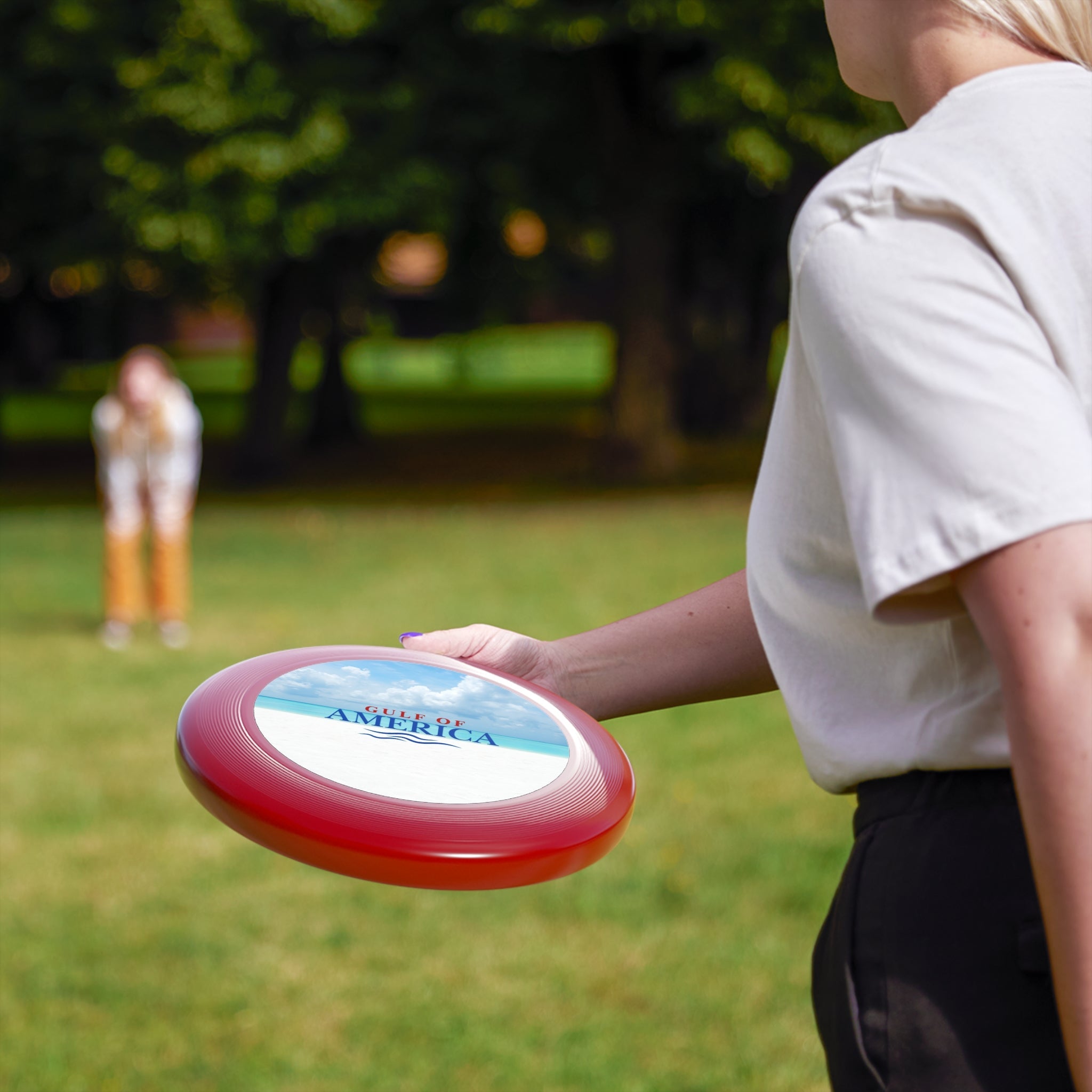 American Gulf Frisbee - Toys & Games, Flying Disc - EpiAl's Shop