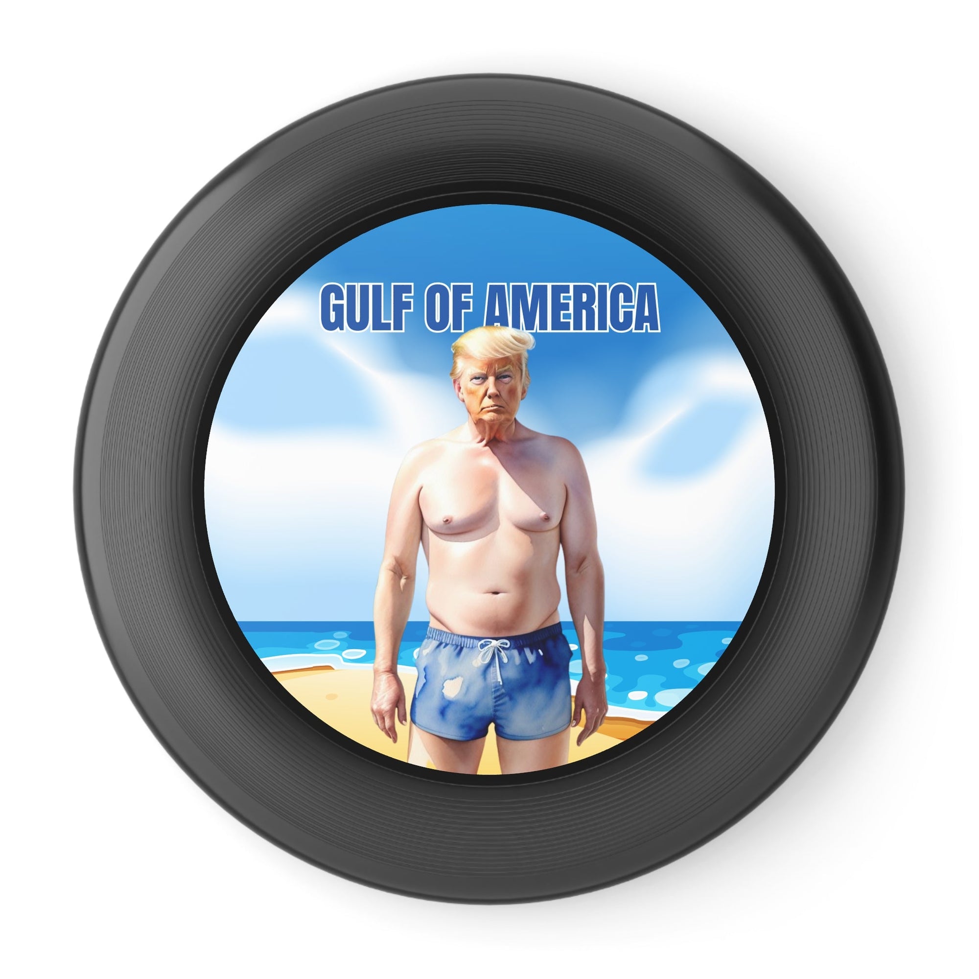 American Gulf Frisbee - Fun Outdoor Flying Disc with Humorous Design - Toys & Games, Flying Disc - EpiAl's Shop