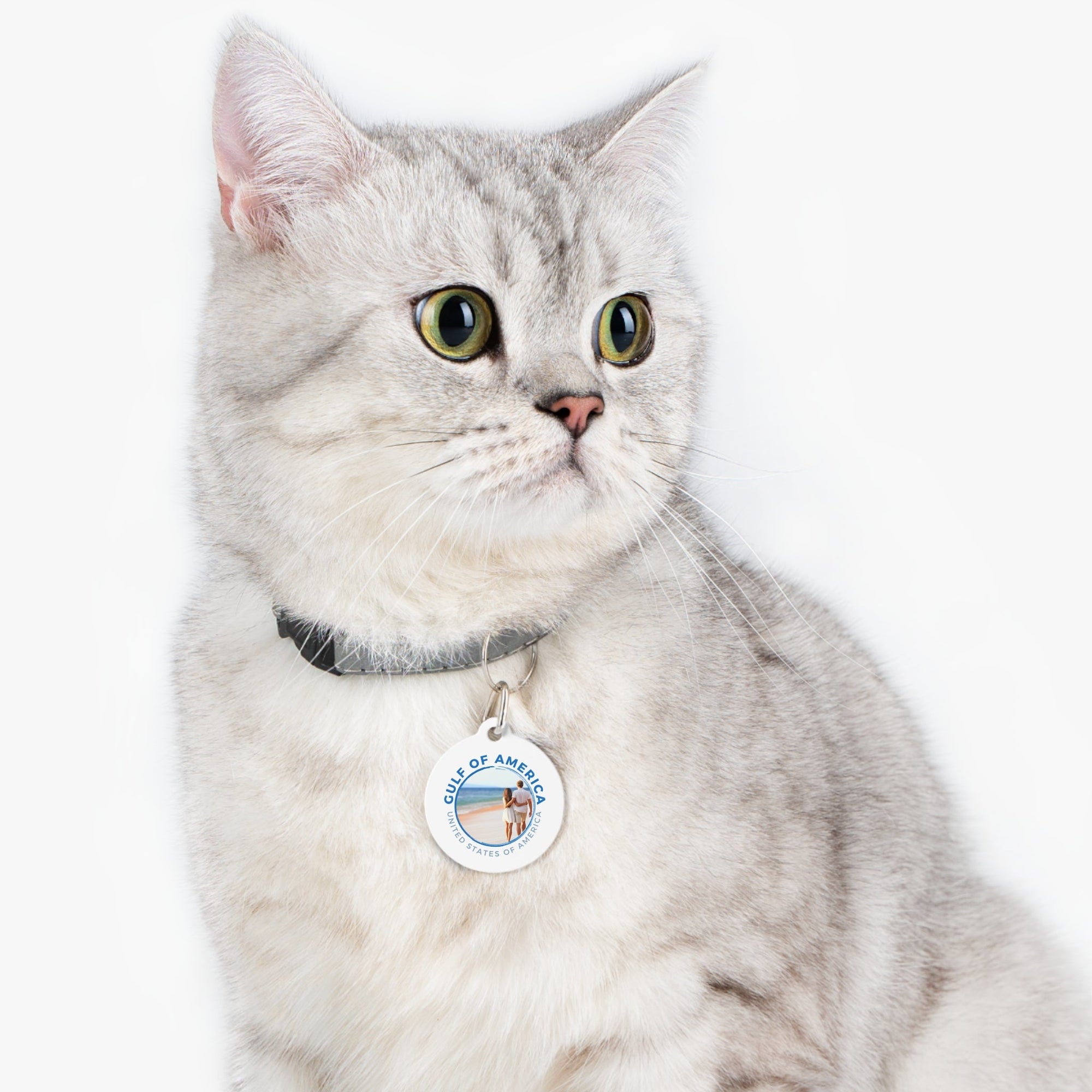American Gulf Pet Tag - Pet Supplies - EpiAl's Shop