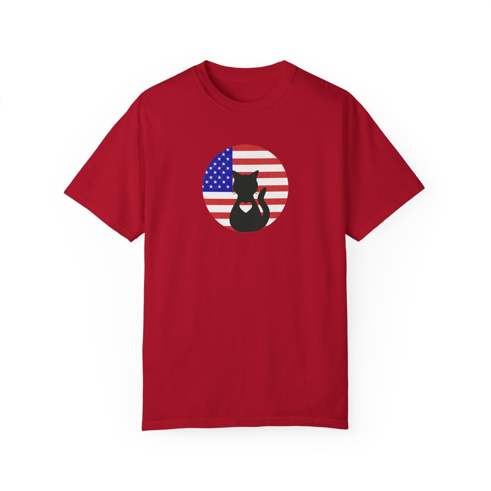 Americat Unisex Garment - Dyed T - shirt - T - Shirt - Epileptic Al’s Shop