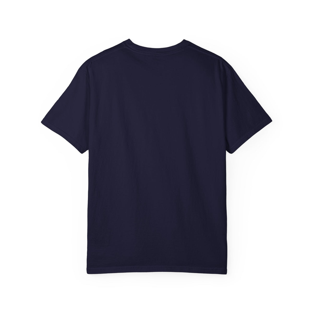 Aquatic Rebranding Department Garment-Dyed Unisex T-Shirt - Clothing, Unisex, T-Shirts - EpiAl's Shop