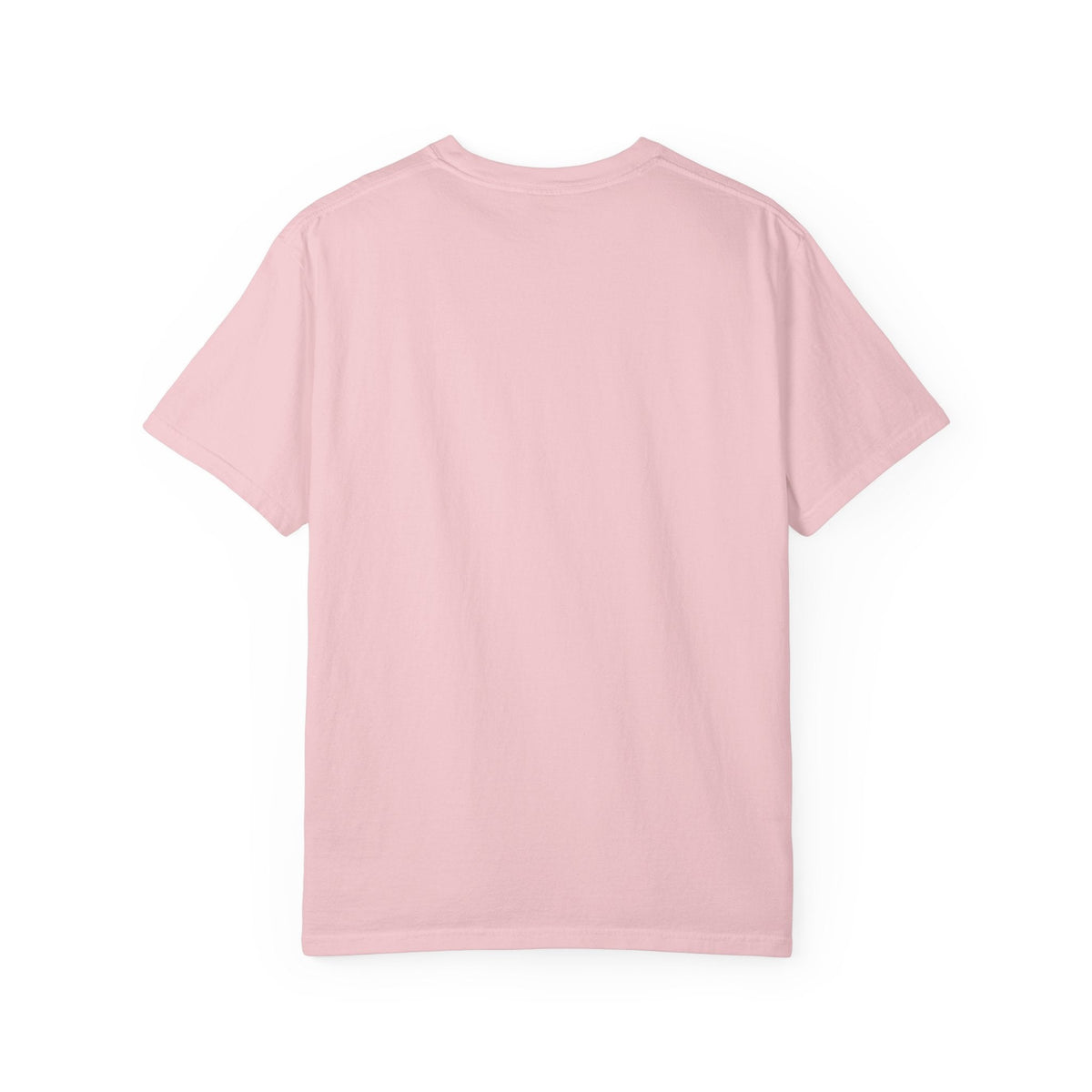 Aquatic Rebranding Department Garment-Dyed Unisex T-Shirt - Clothing, Unisex, T-Shirts - EpiAl's Shop