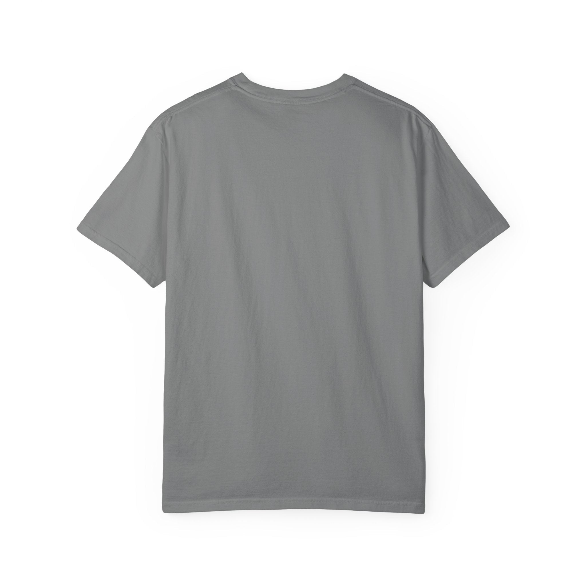 Aquatic Rebranding Department Garment-Dyed Unisex T-Shirt - Clothing, Unisex, T-Shirts - EpiAl's Shop