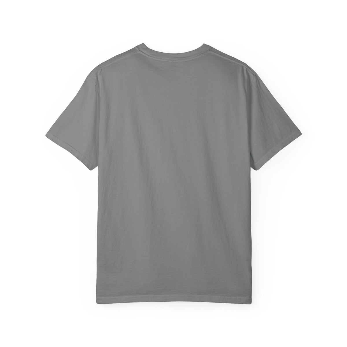Aquatic Rebranding Department Garment-Dyed Unisex T-Shirt - Clothing, Unisex, T-Shirts - EpiAl's Shop